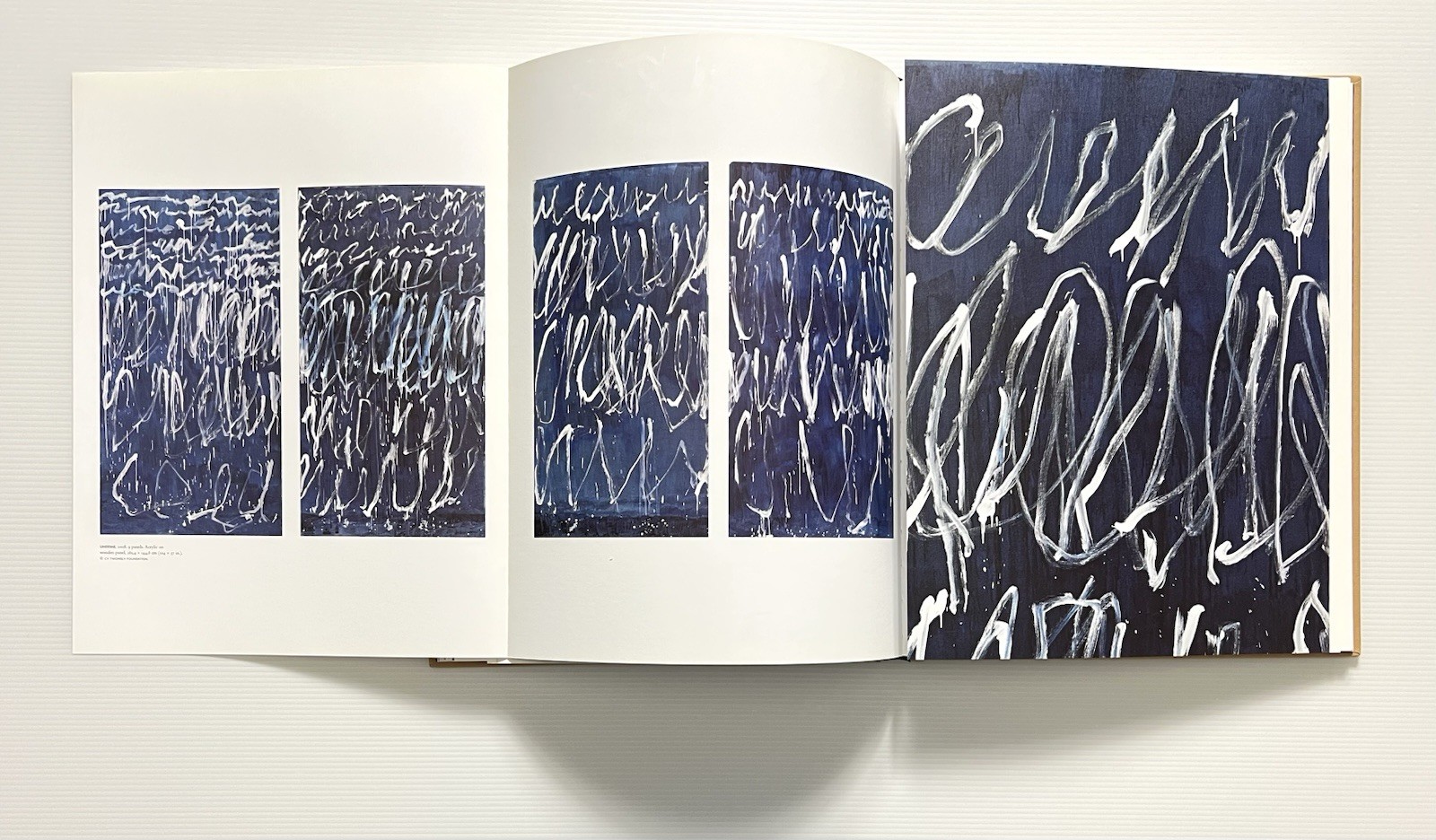 Cy Twombly Late Paintings 2003-2011 by Pavlouskova HC DJ 2015