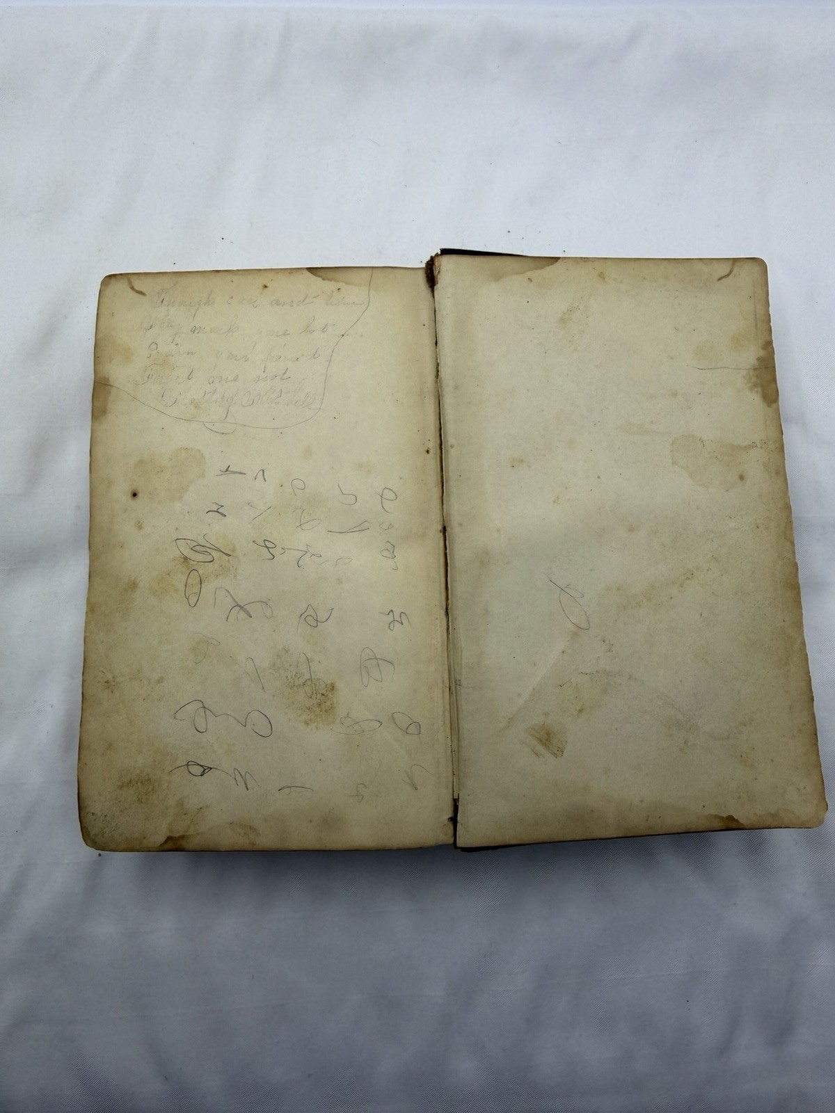 Holy Bible New & Old Testaments Orig Tongues New York American Bible S. 1866