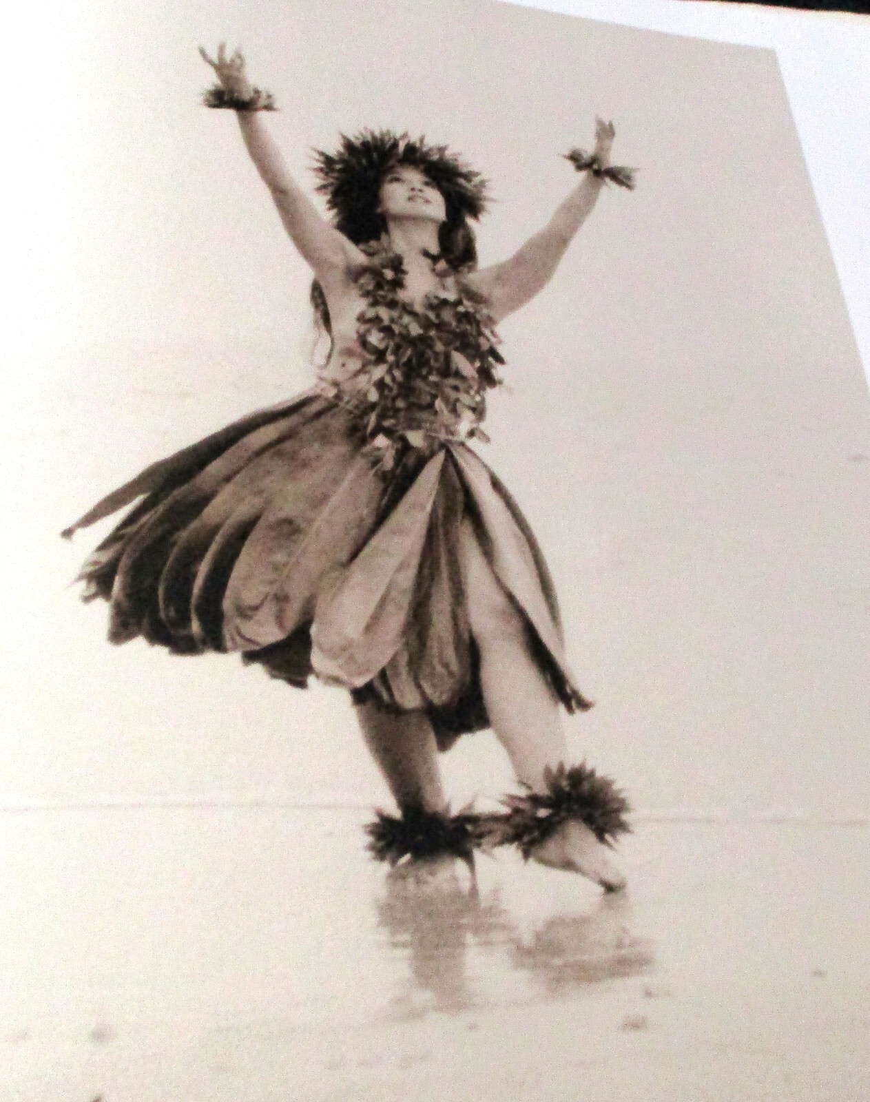 HULA I KA LA, DANCE IN THE SUN Kim Taylor Reece HC 2002 Photography of Hula