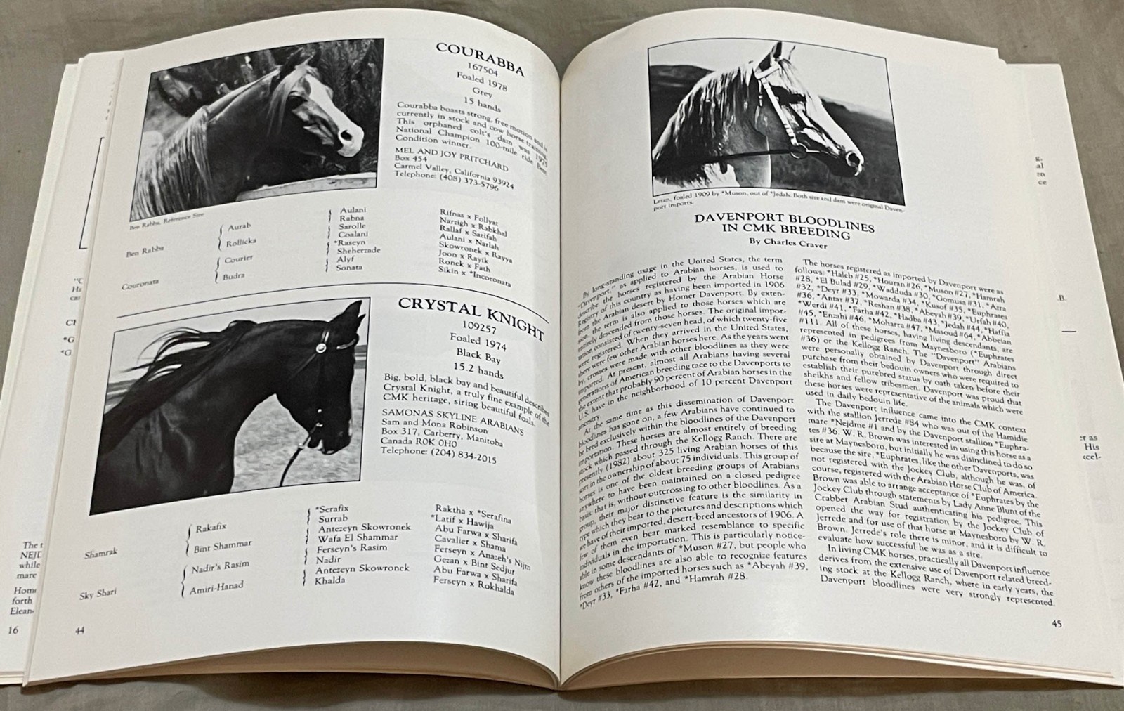 CMK HERITAGE CATALOGUE, 1982, ARABIAN HORSE HISTORY ARTICLES, STALLION DIRECTORY