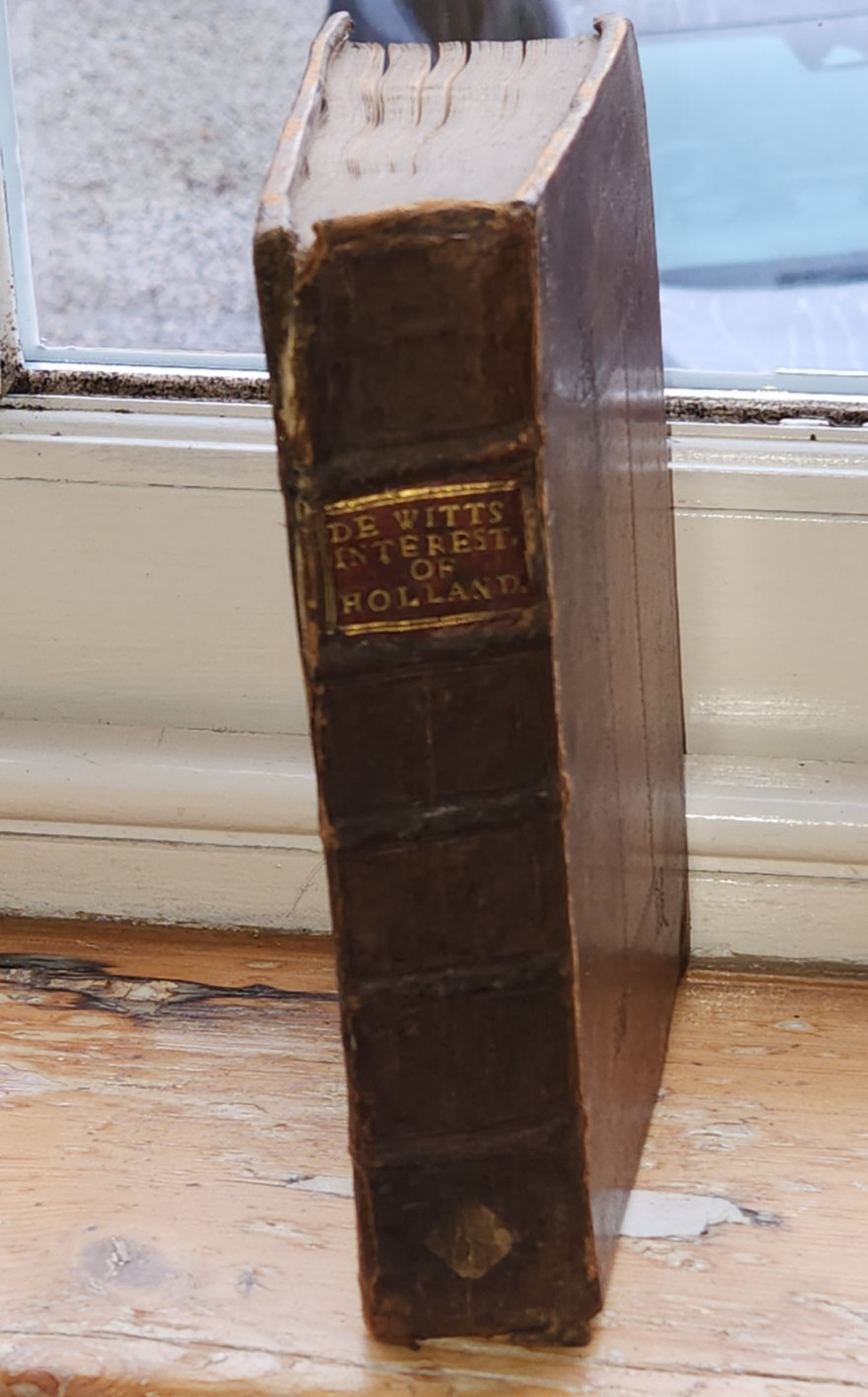 1702 TRUE INTEREST & POLITICAL MAXIMS OF HOLLAND & WEST-FRIESLAND BY DE WITT *