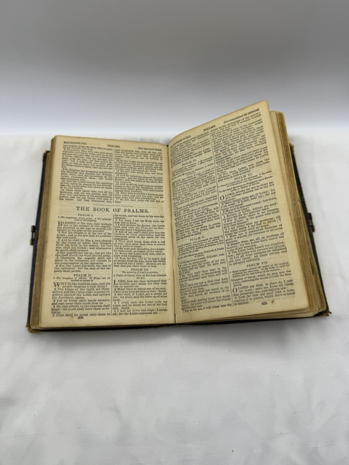 Holy Bible New & Old Testaments Orig Tongues New York American Bible S. 1866