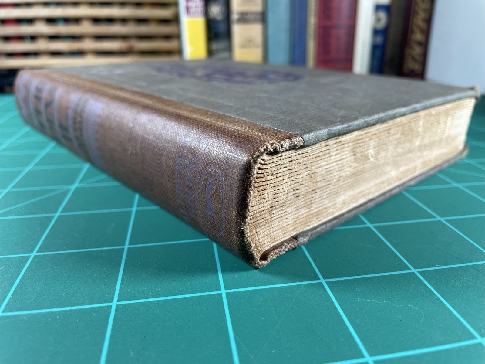 Vintage 1928 Book THE DEVIL by Alfred Neumann ~ Hardcover Alfred A Knopf
