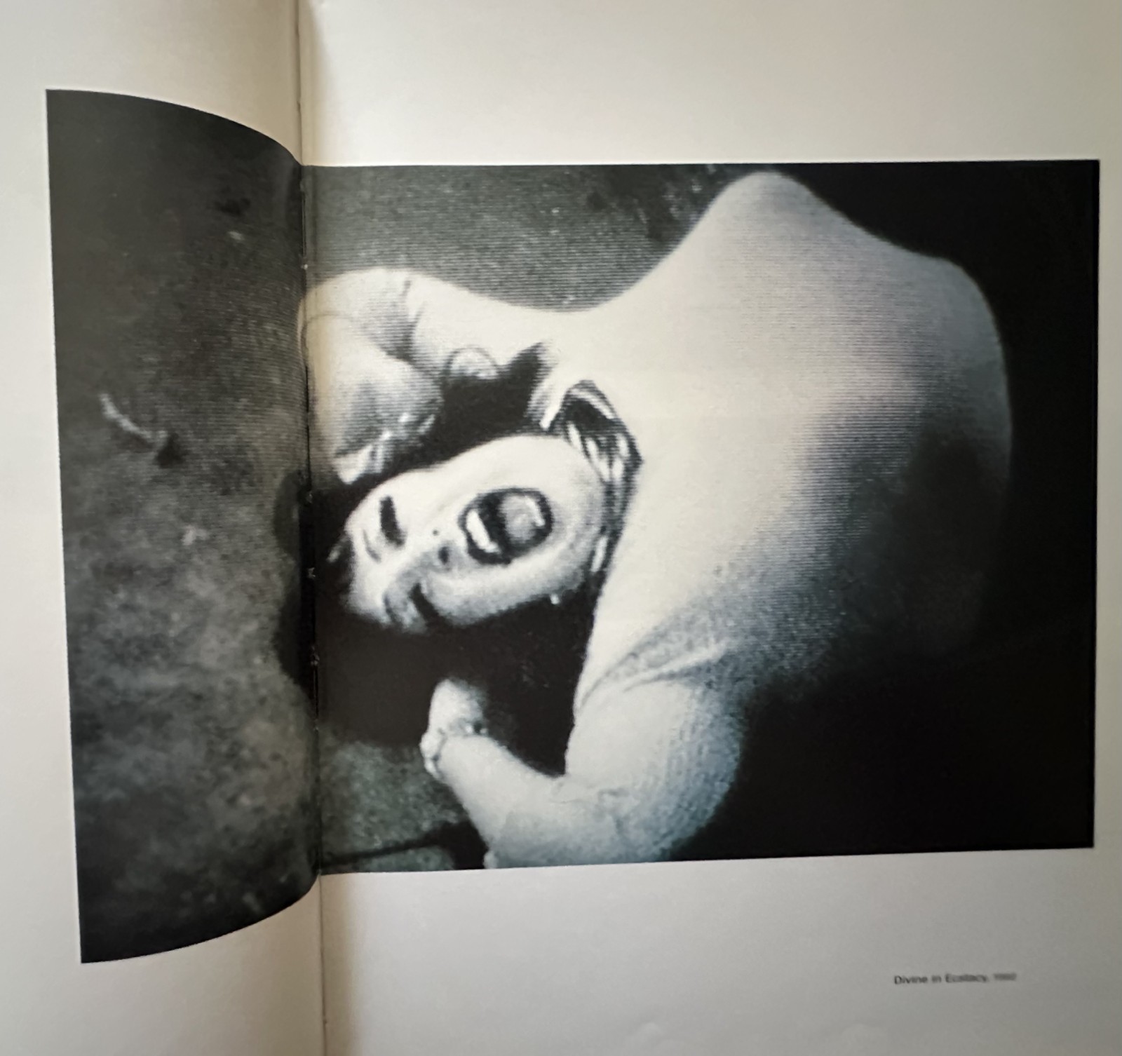Director’s Cut by John Waters – HC – 1997 – Like new except for dust jacket