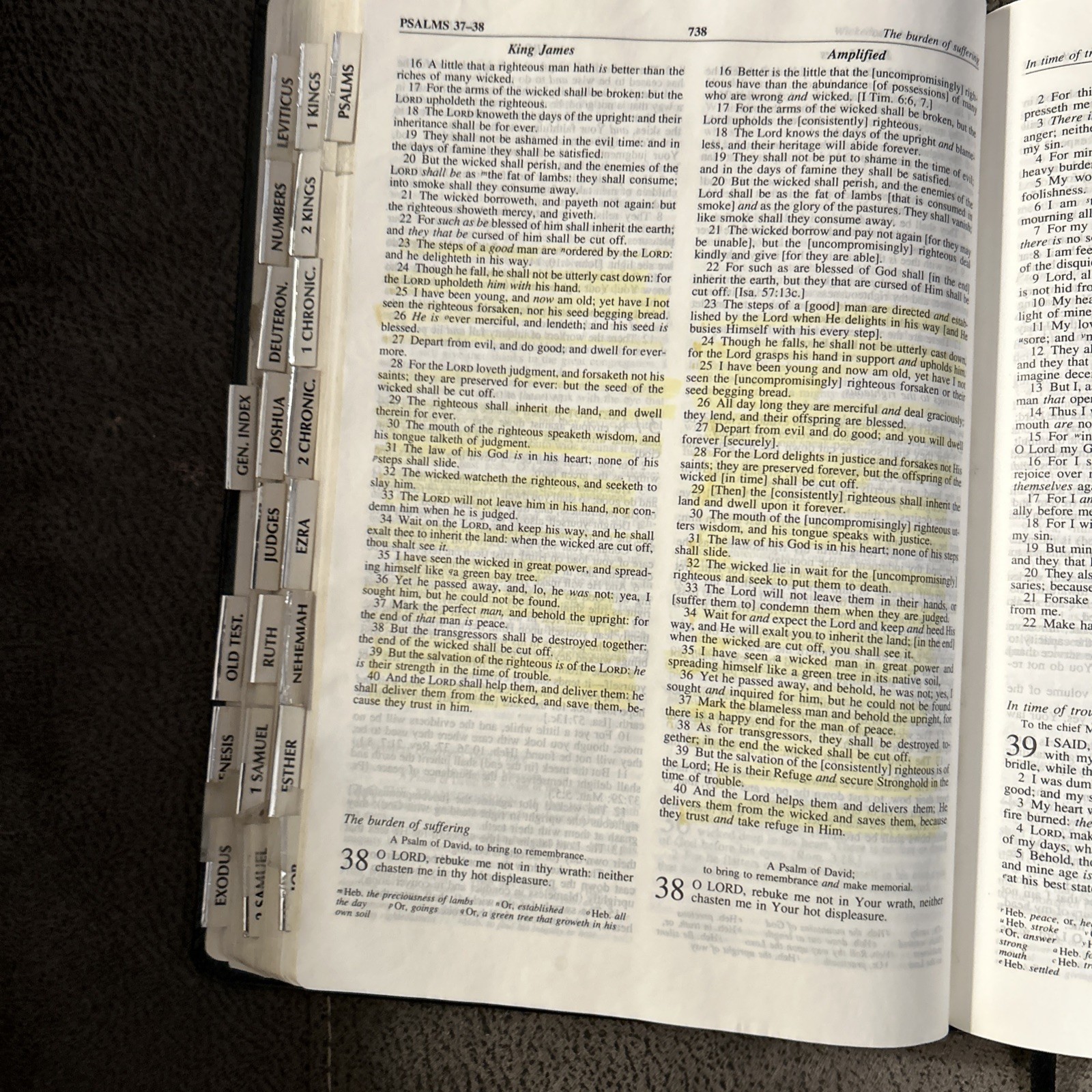 KJV Amplified Bible Parallel Edition Bonded Leather AMP 1995