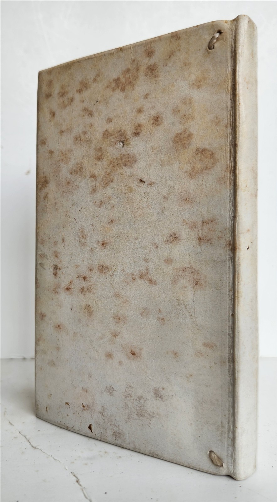 1595 DE FAMA by Jacobus TYPOTIUS antique HISTORY 16th CENTURY