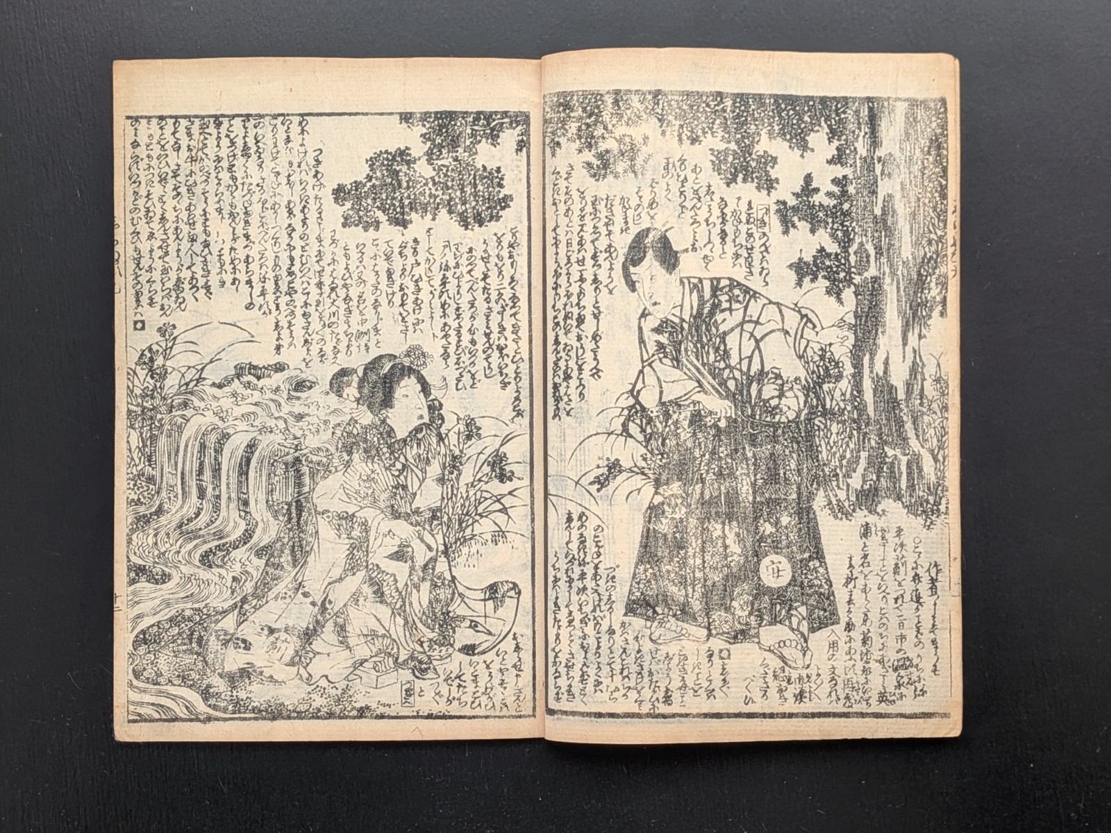 Japanese Ukiyo-e Woodblock Print Book 8-484 2-Volumes Utagawa Kunisada