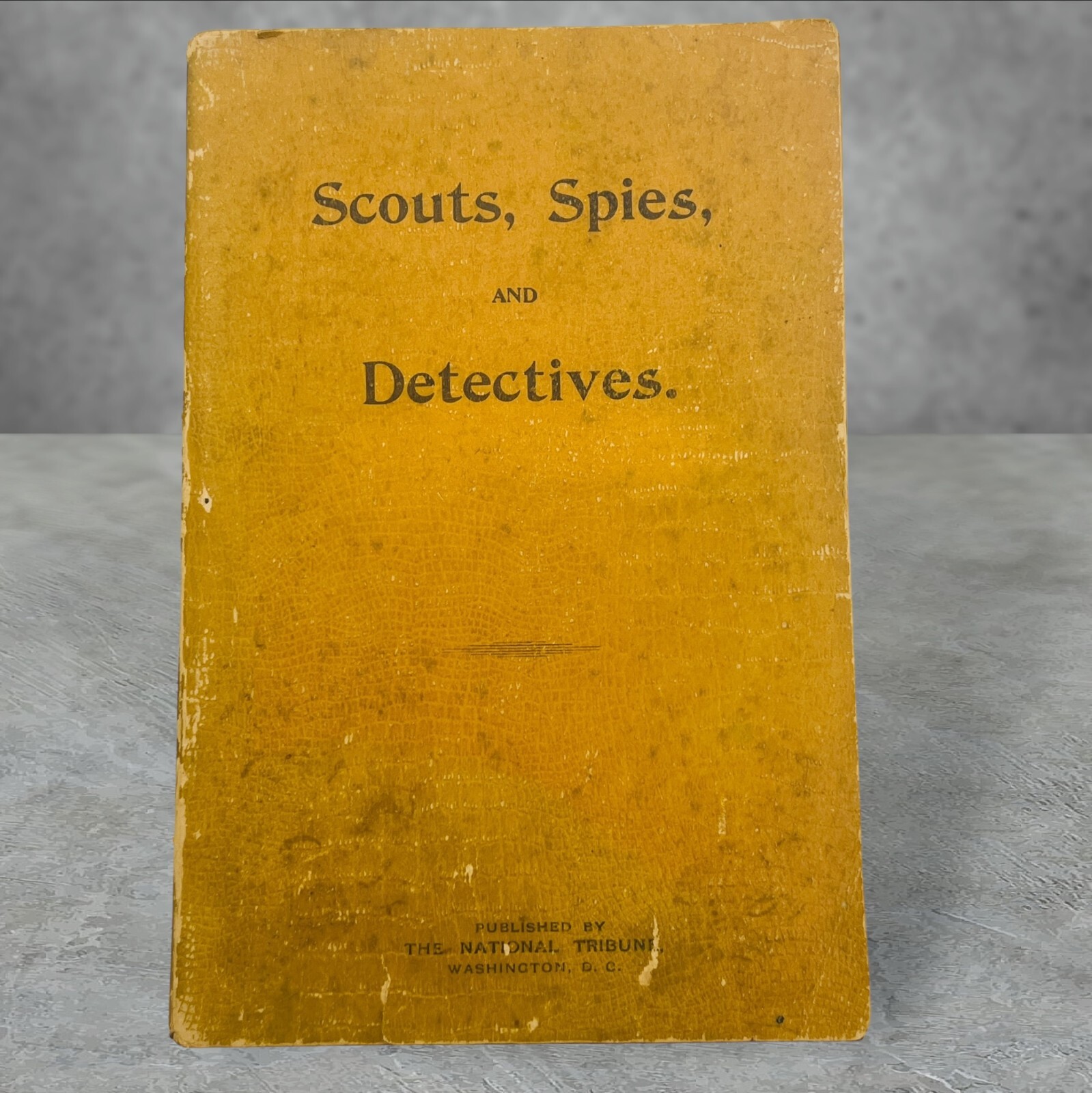 Scouts, Spies and Detectives of the Civil War Joseph Powers Hazelton 1st 1899