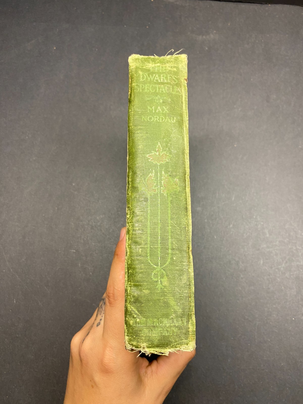 1905 – The Dwarf’s Spectacles and Other Fairy Tales – Nordau – Rare – Hardcover