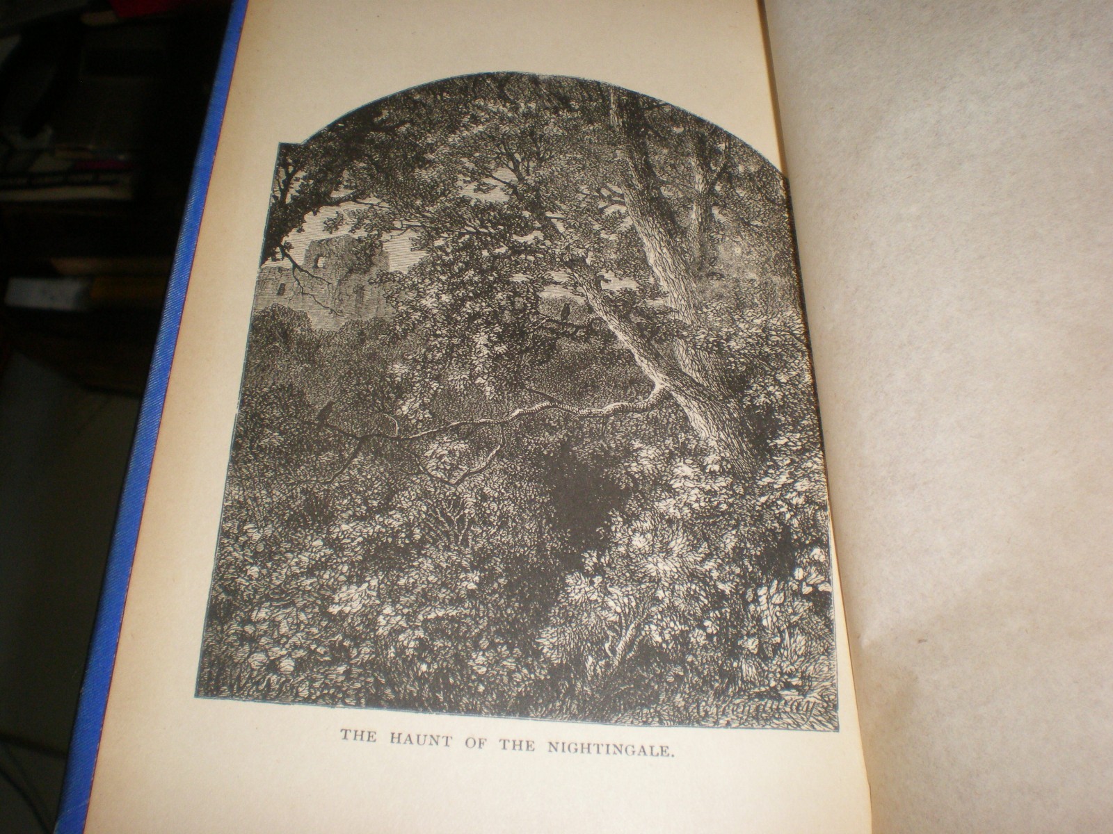 Antique Book – The Poetical Works of Jean Ingelow – 1863 – Published 1880