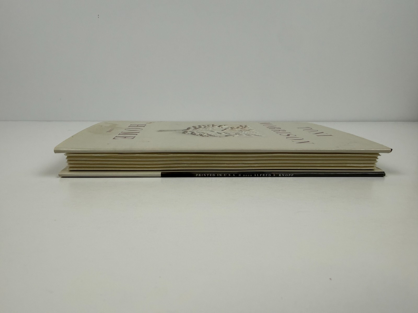 Toni Morrison Home First Edition 2012 Hardcover Dust Jacket Nobel Laureate Novel