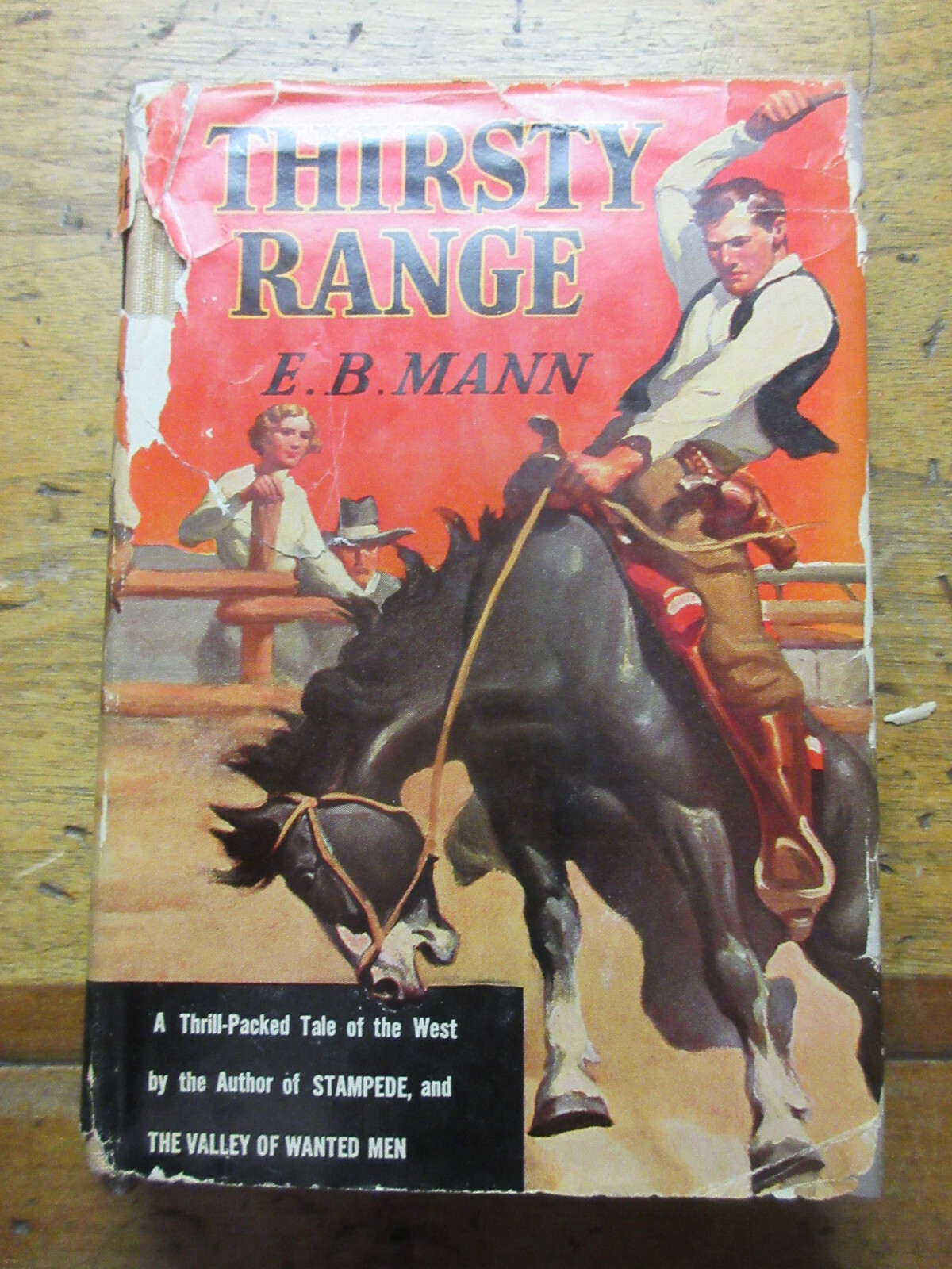 1935 Thirsty Range E.B. MANN Western CATTLE RANGES Dust Jacket DJ