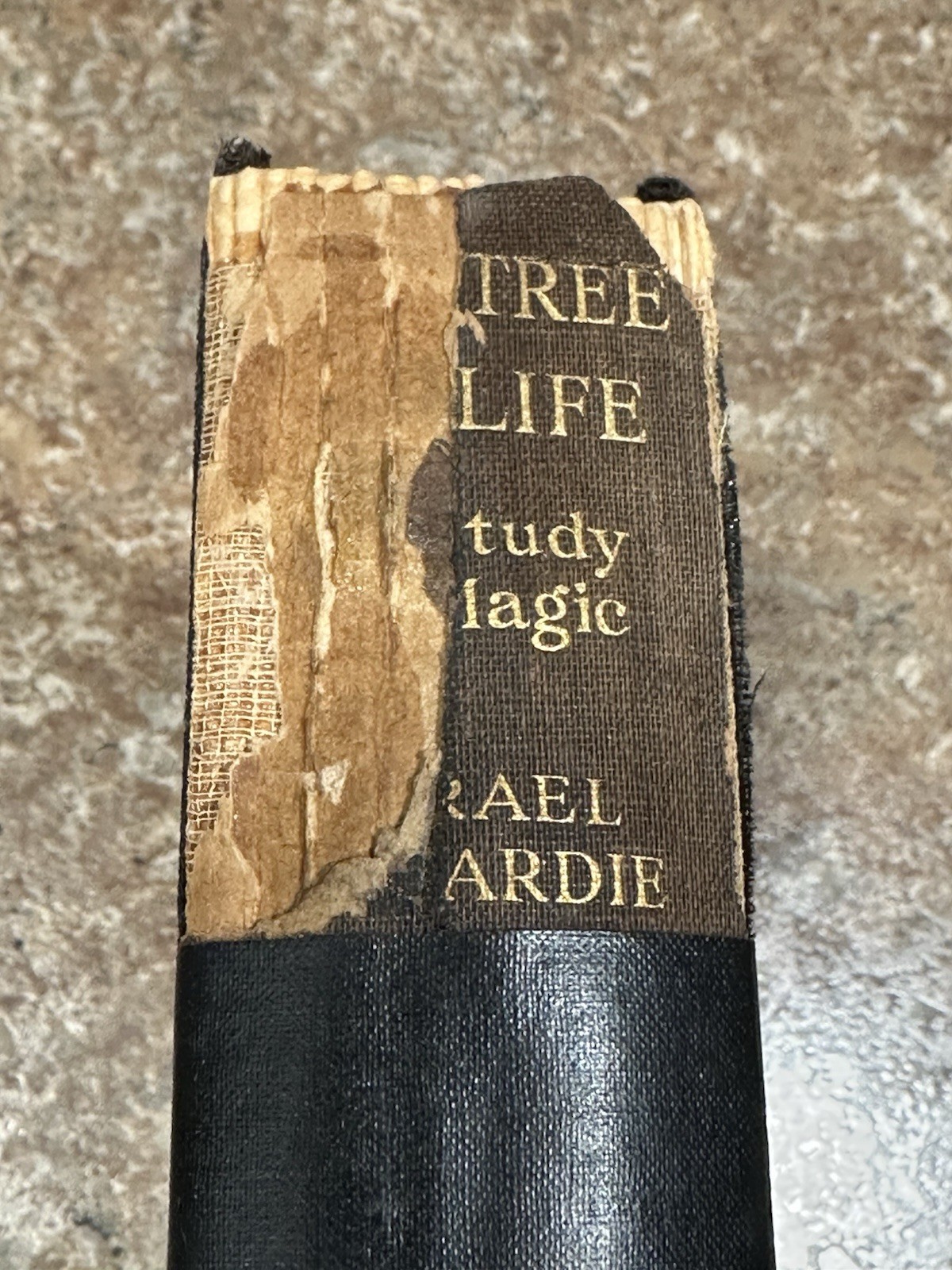 1st Edition THE TREE OF LIFE A STUDY IN MAGIC Israel Regardie 1932 MAGICK Occult