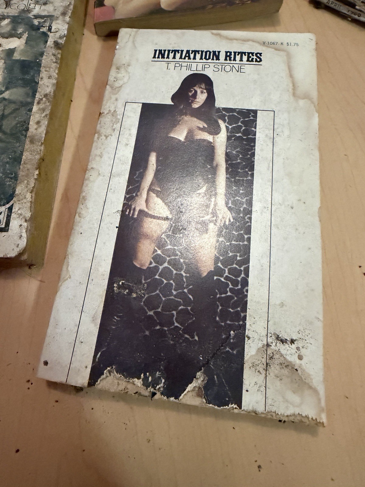 Vintage Adult Book Find