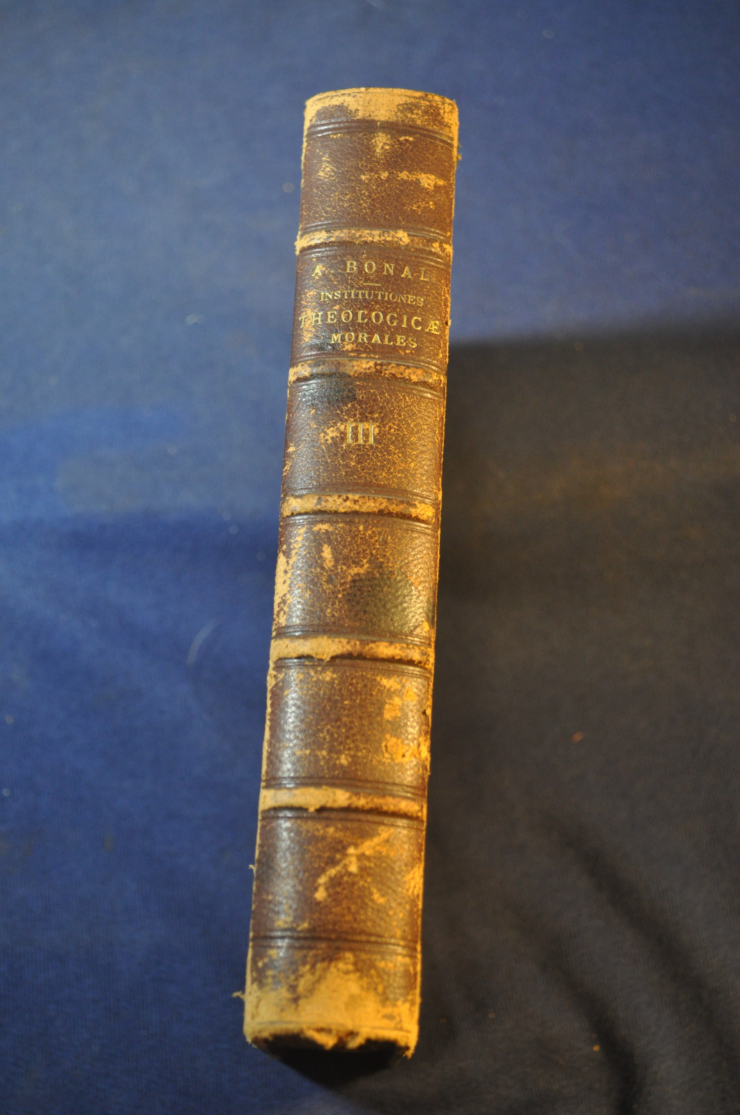 1896 Institutiones Theologicae Ad Usum Seminariorum Tomus Sextus (Latin)