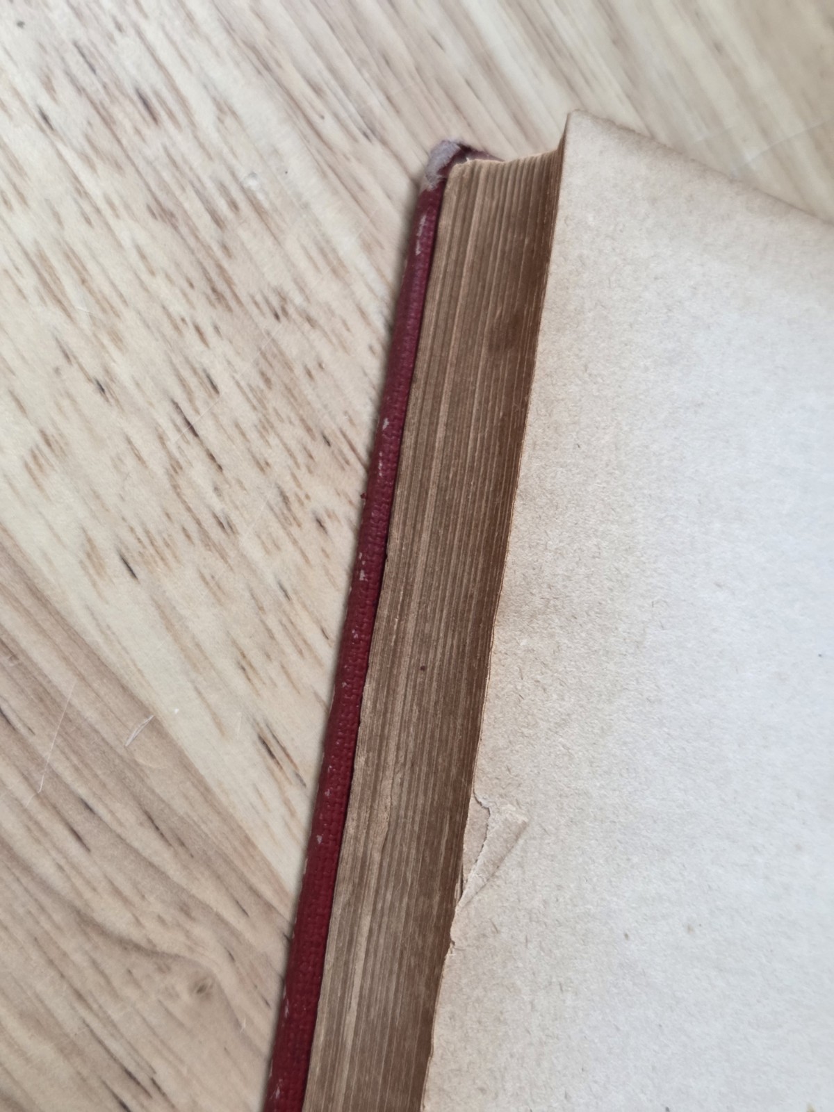 The Scarlet Lette Nathaniel Hawthorne 1892 Edition Henry Altemus Vintage HC
