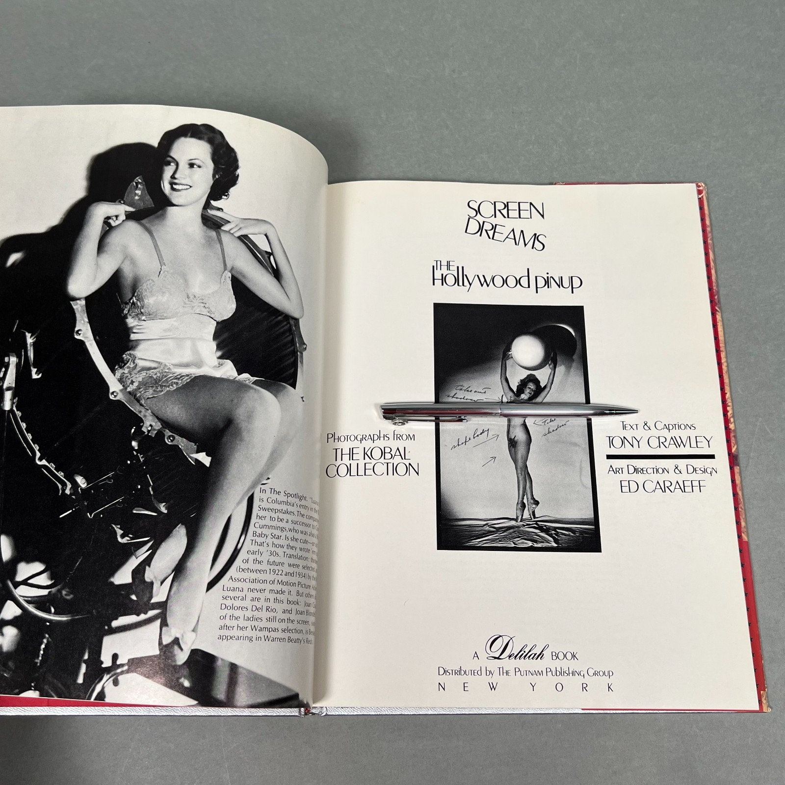 Screen Dreams The Hollywood Pinup Kobal Collection Photos 1ST Printing HARDCOVER