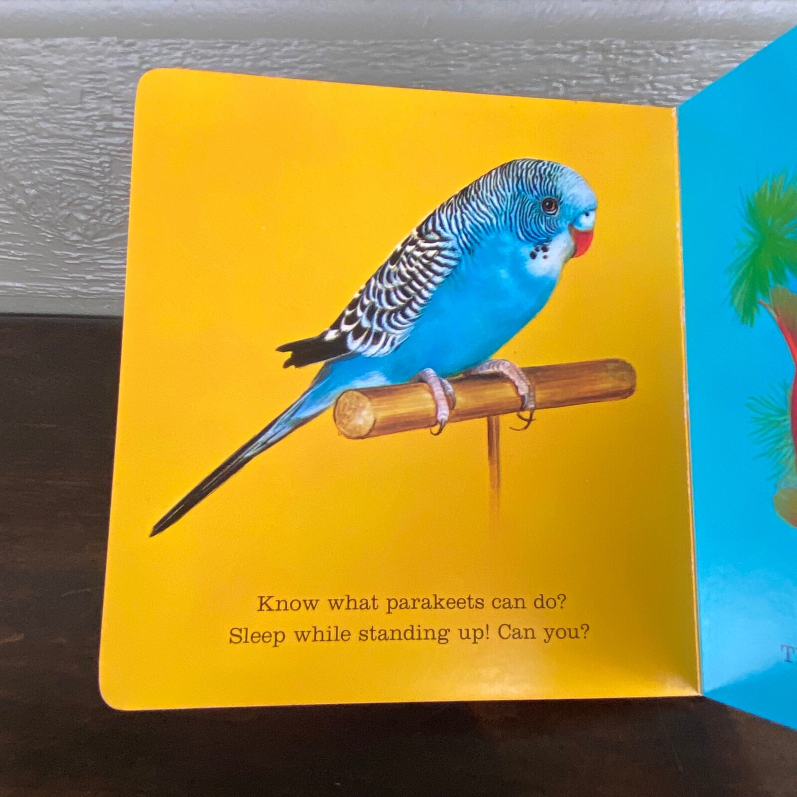 Vintage PET PARADE Hallmark Cards Children’s Editions Board Book
