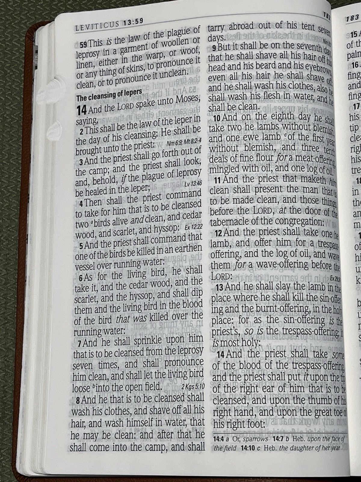 Hendrickson Super Giant Print KJV Reference Bible,1st Printing 2017, Thumb Index