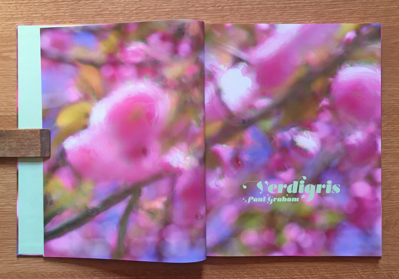 Paul Graham, Verdigris/Ambergris, SIGNED 1st edition, 2024, 2 vols, near-mint