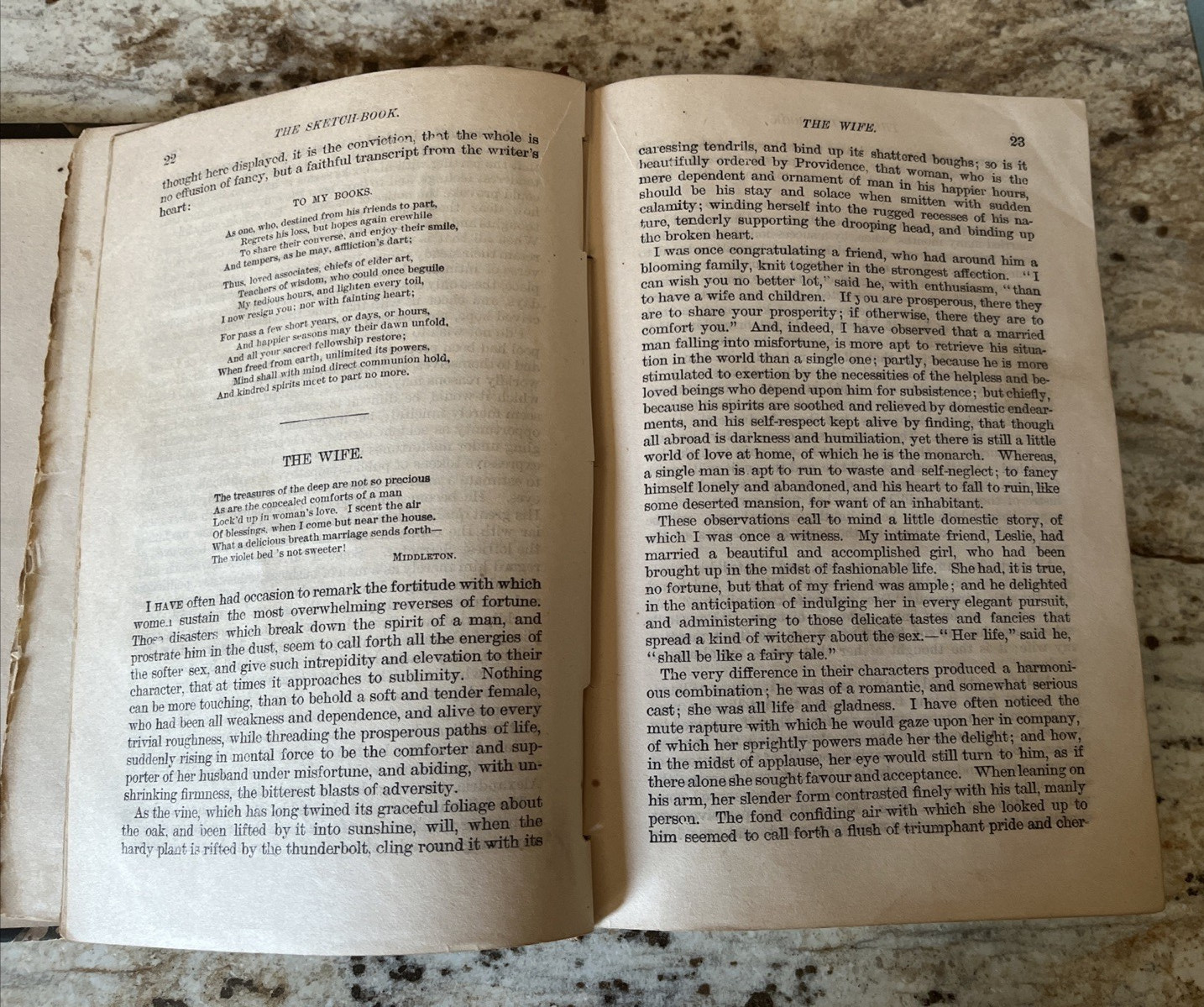 The Sketch Book & Knickerbocker’s History of New York by Washington Irving 1886