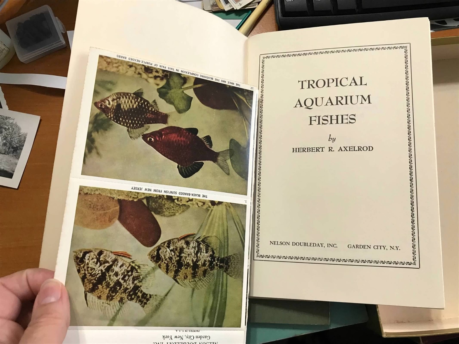 BOOKS: 1955 National Audubon Society Nature Program Box Sets of 7 Books