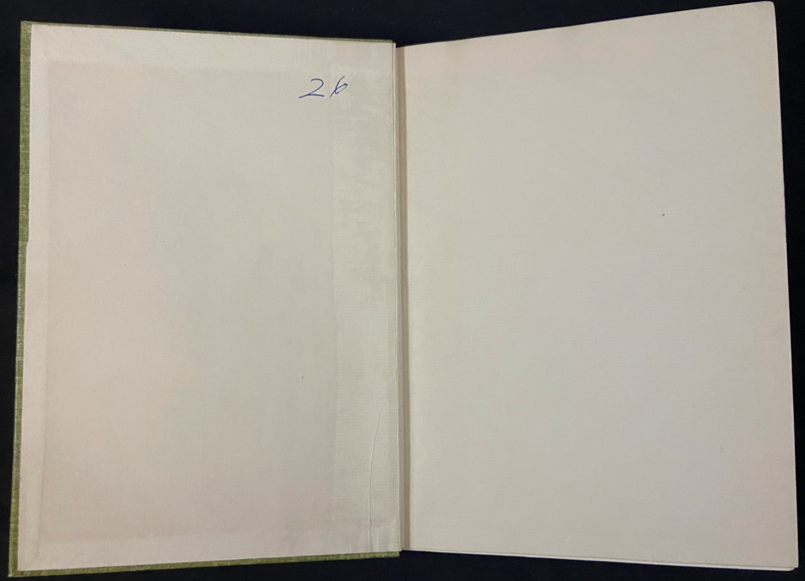 1894 MY ARCTIC JOURNAL Victorian Exploration & Travel MRS PEARY Anthropology