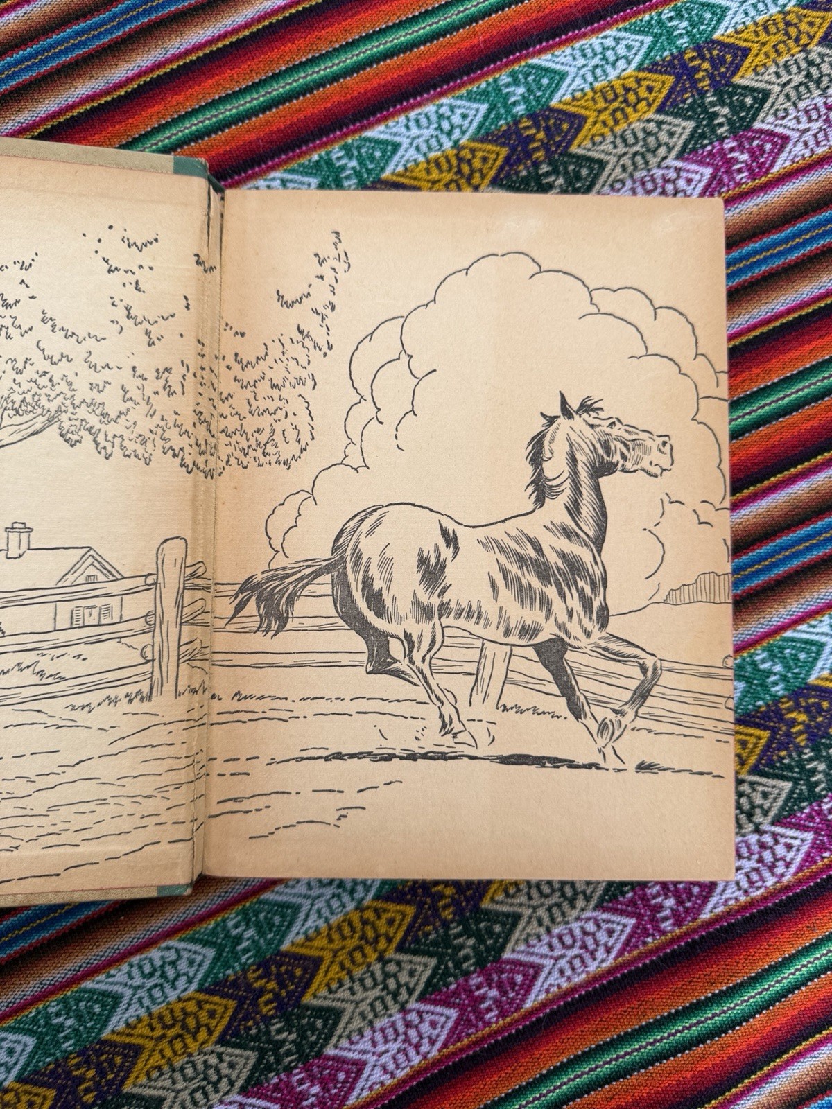 Black Beauty by Anna Sewell (1938, HC) Illustrated Vintage Book