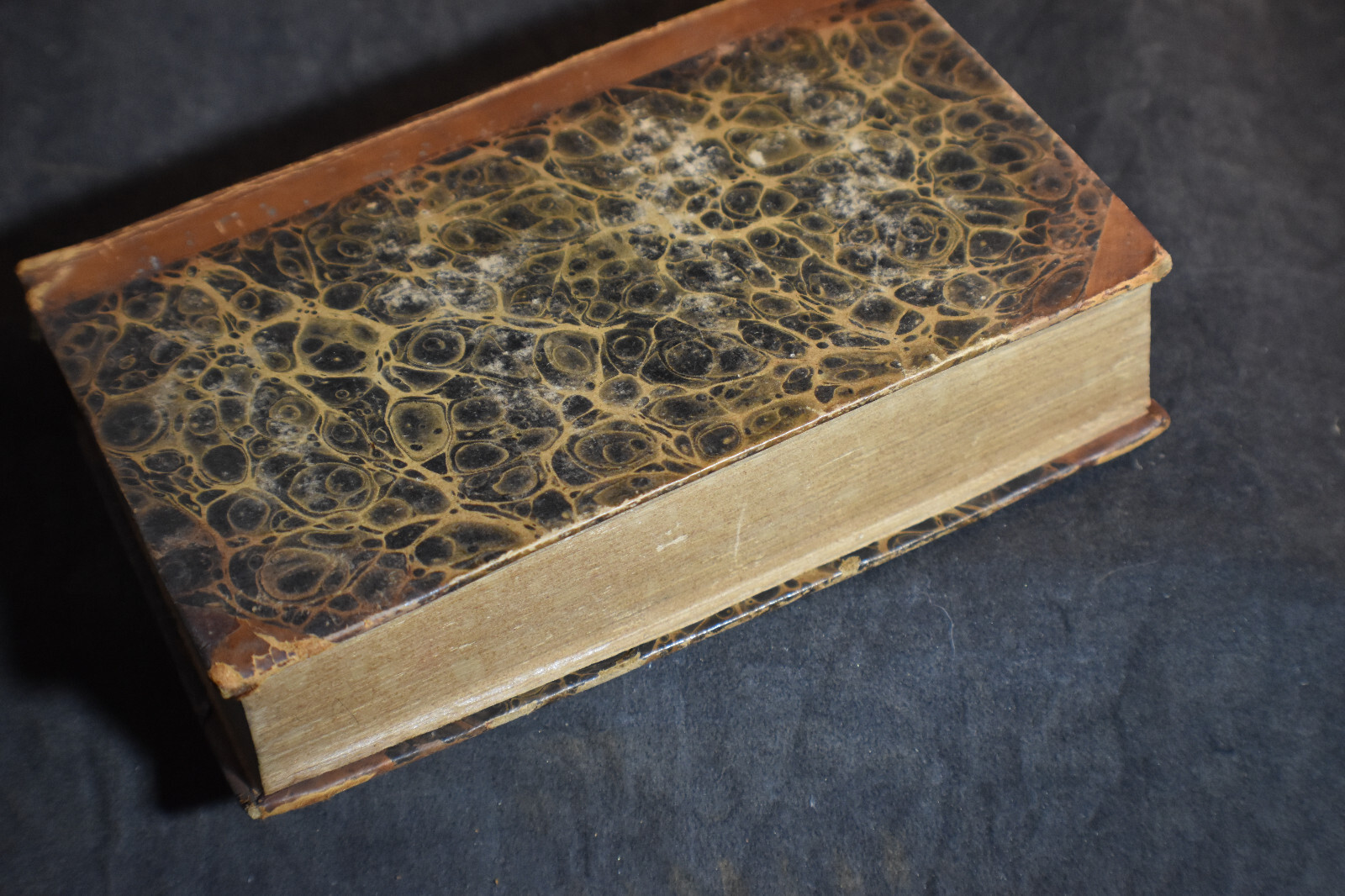 Compendiosae Institutiones Theologicae 1778 Volume 5 [LATIN]