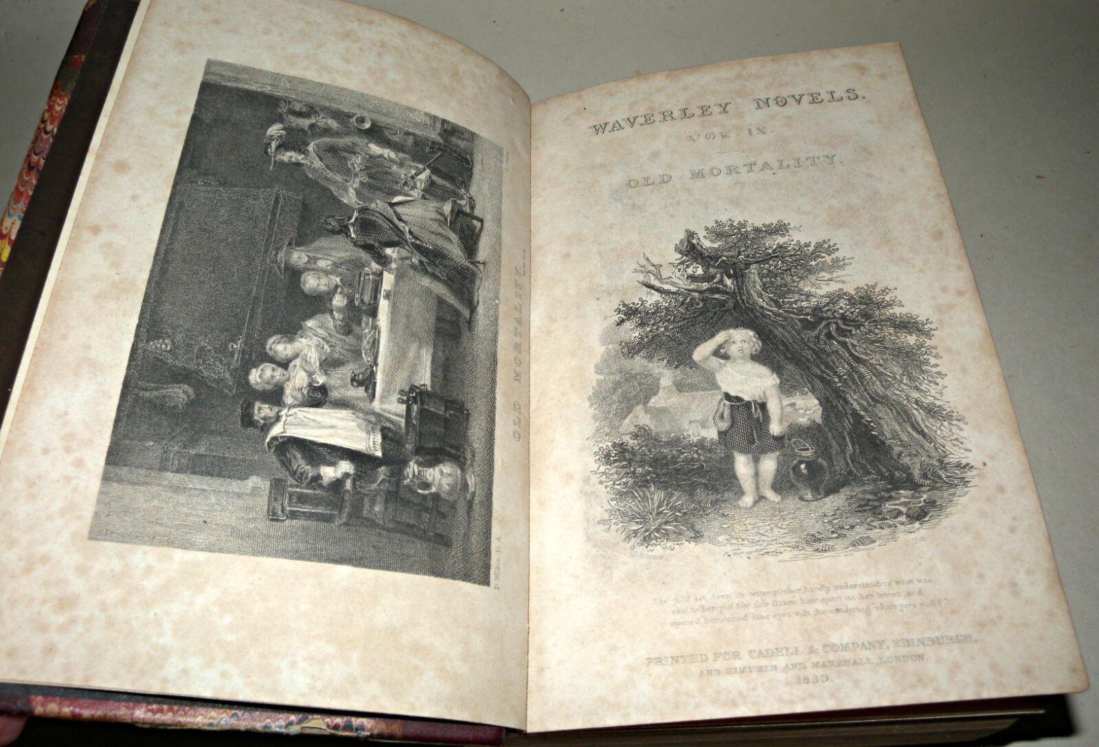 14 Waverley Novels 1830s Walter Scott Robert Cadell Leather Spine HB Collection