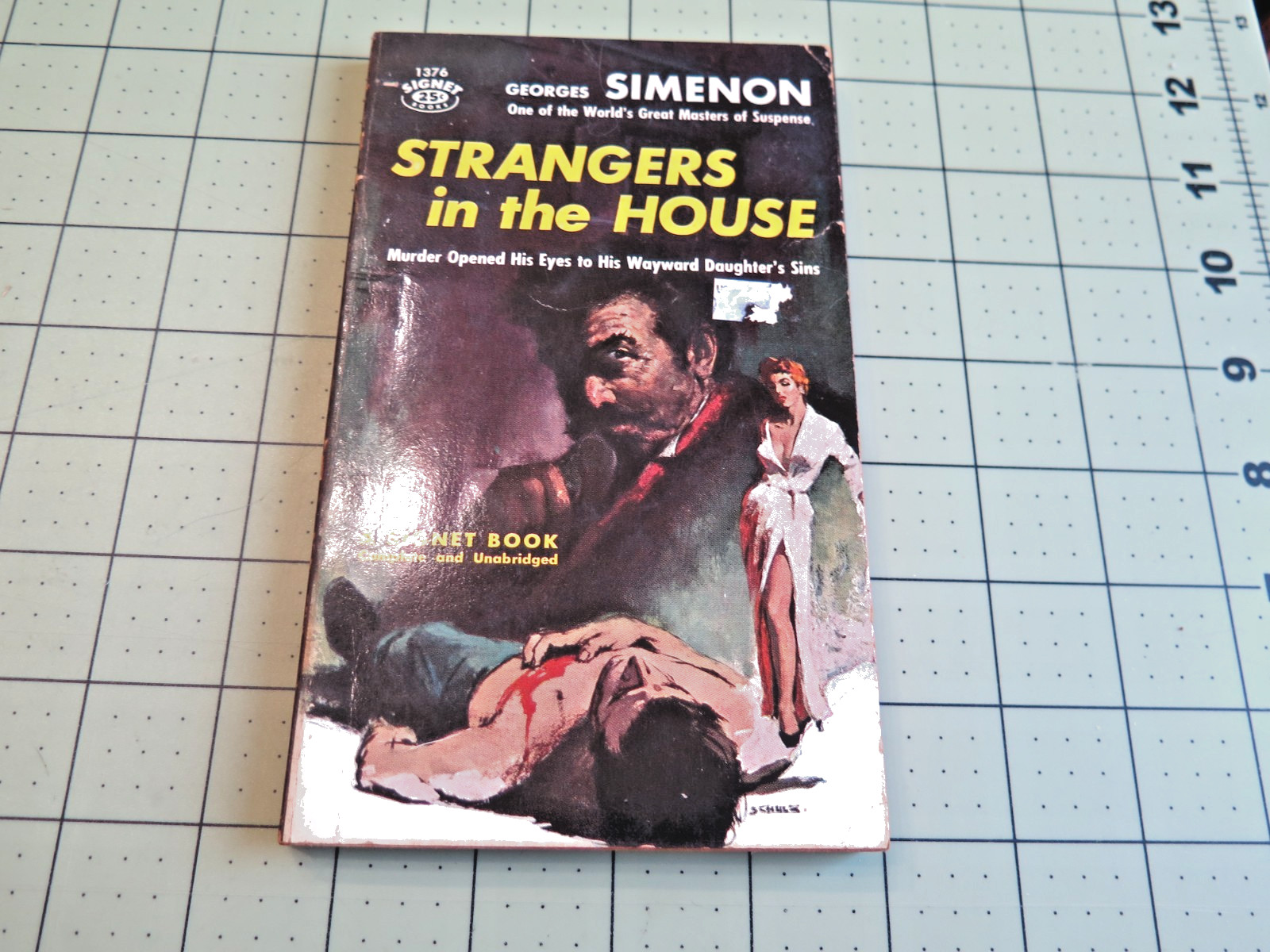 STRANGERS IN THE HOUSE BY GEORGES SIMENON SIGNET BKS PULP THRILLER GGA