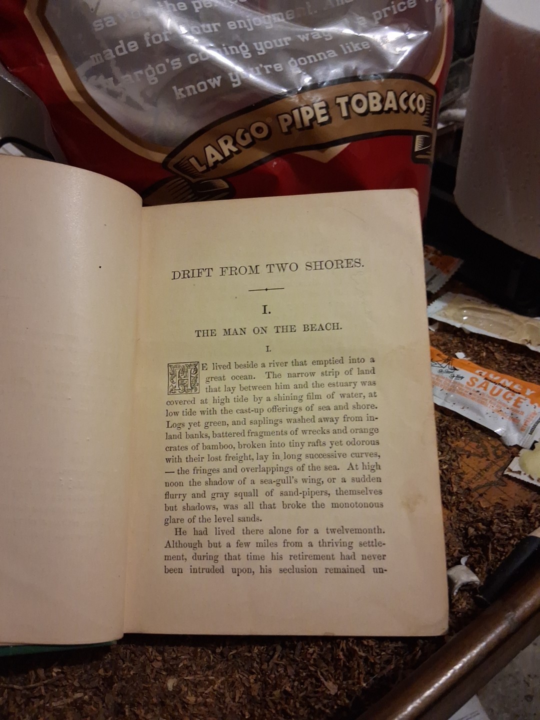 Antique Book, 1878 Drift From Two Shores By: Bret Harte