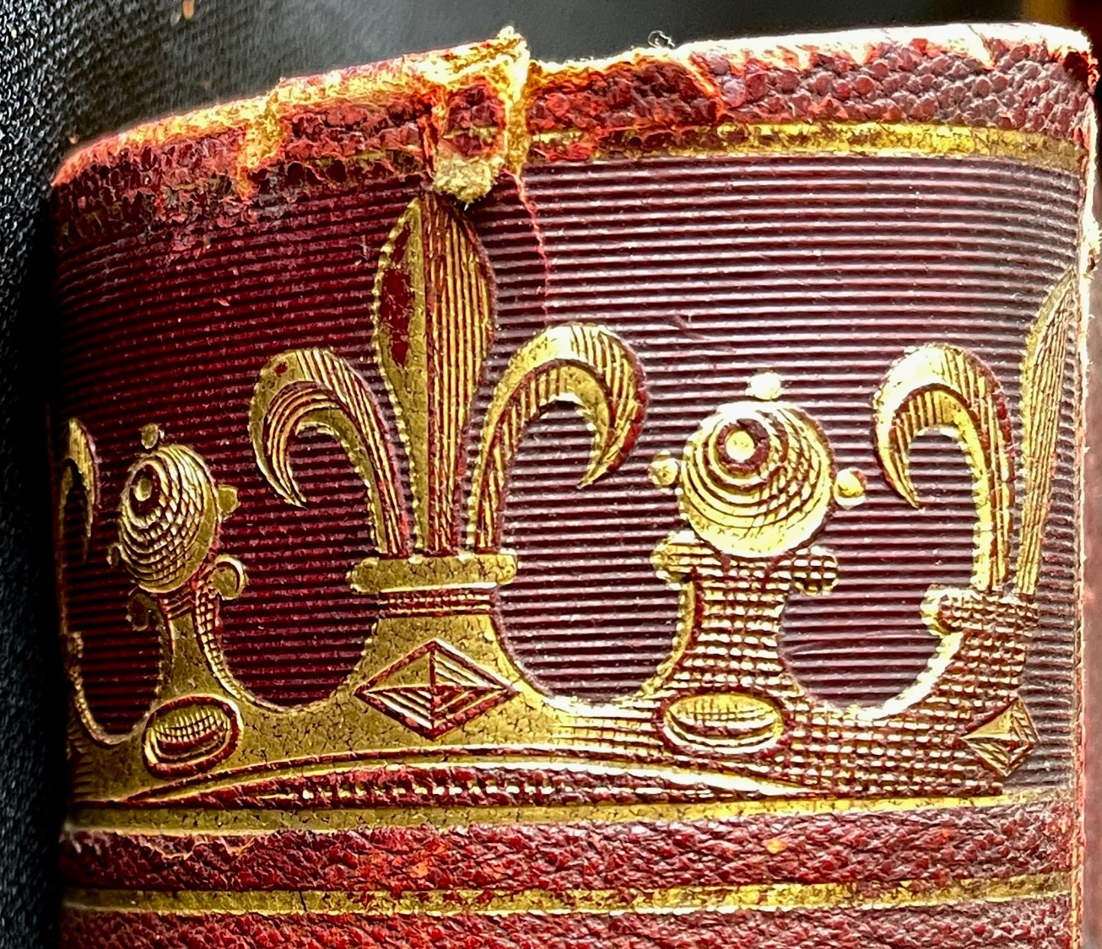French Victorian Decorative Fine Binding 1883 Chroniqueurs Charles VIII Louis XI