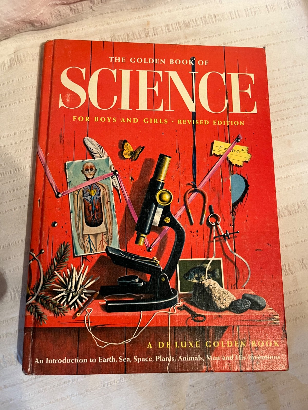Vintage GOLDEN BOOK OF SCIENCE for Boys & Girls 1963 Deluxe Ed (2nd Print, 1964)