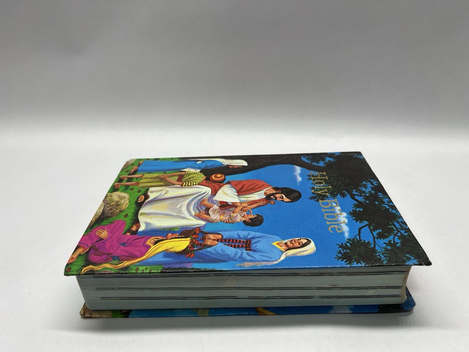 Holy Bible Kings James Version Illustrated
