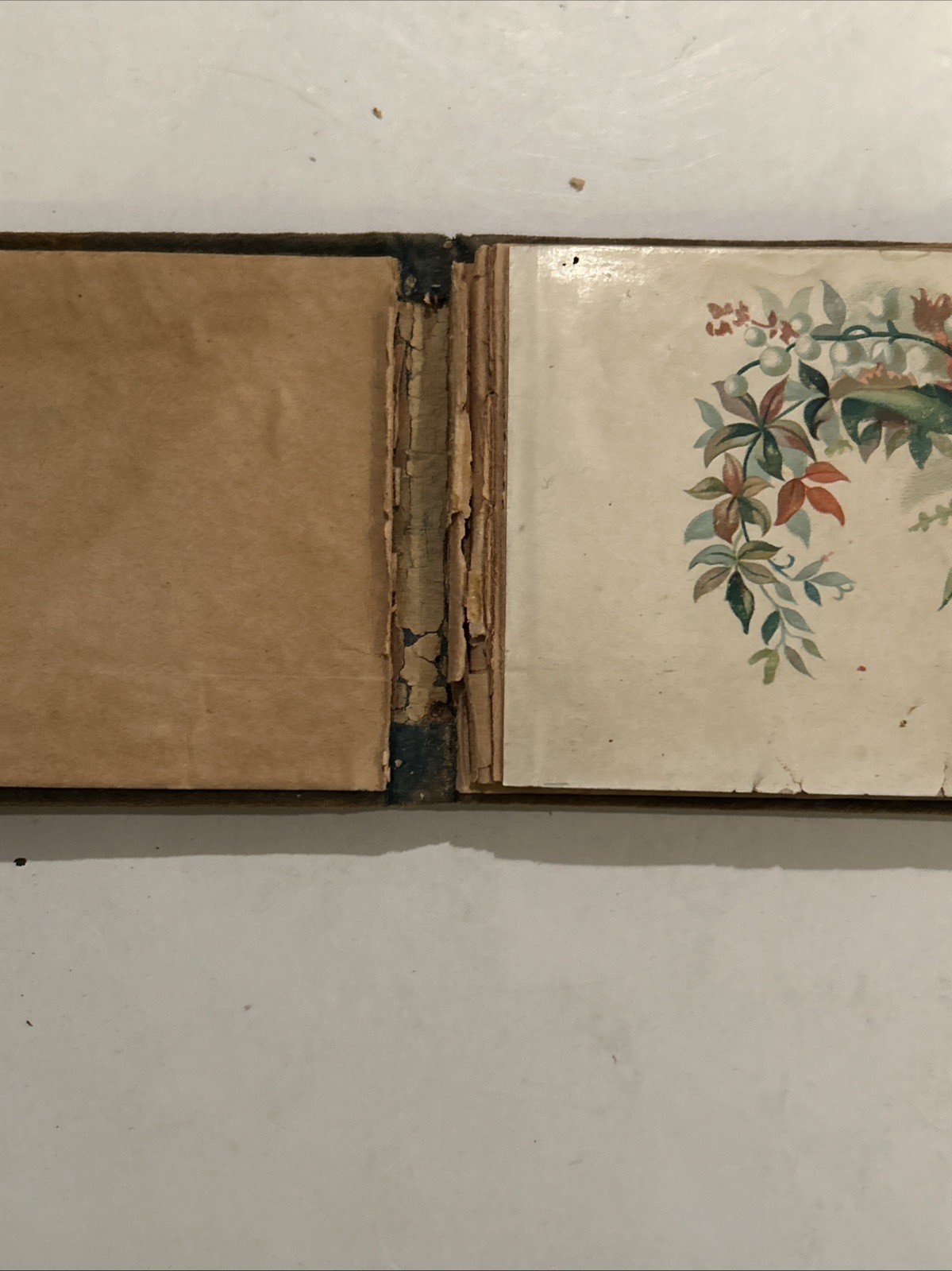Antique Autograph Book Velvet Victorian Signed 1890s