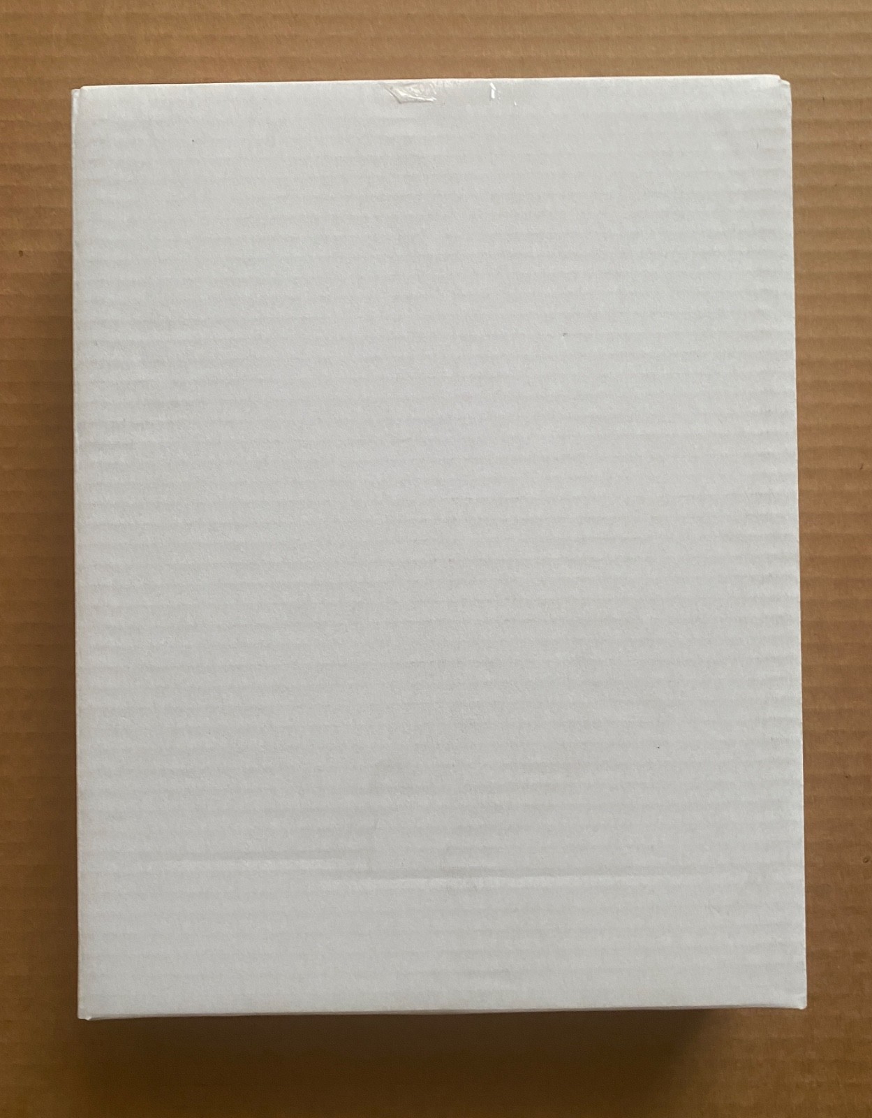 rare CADY NOLAND Clip-On Method (2021) book sealed 1st printing Galerie Buchholz