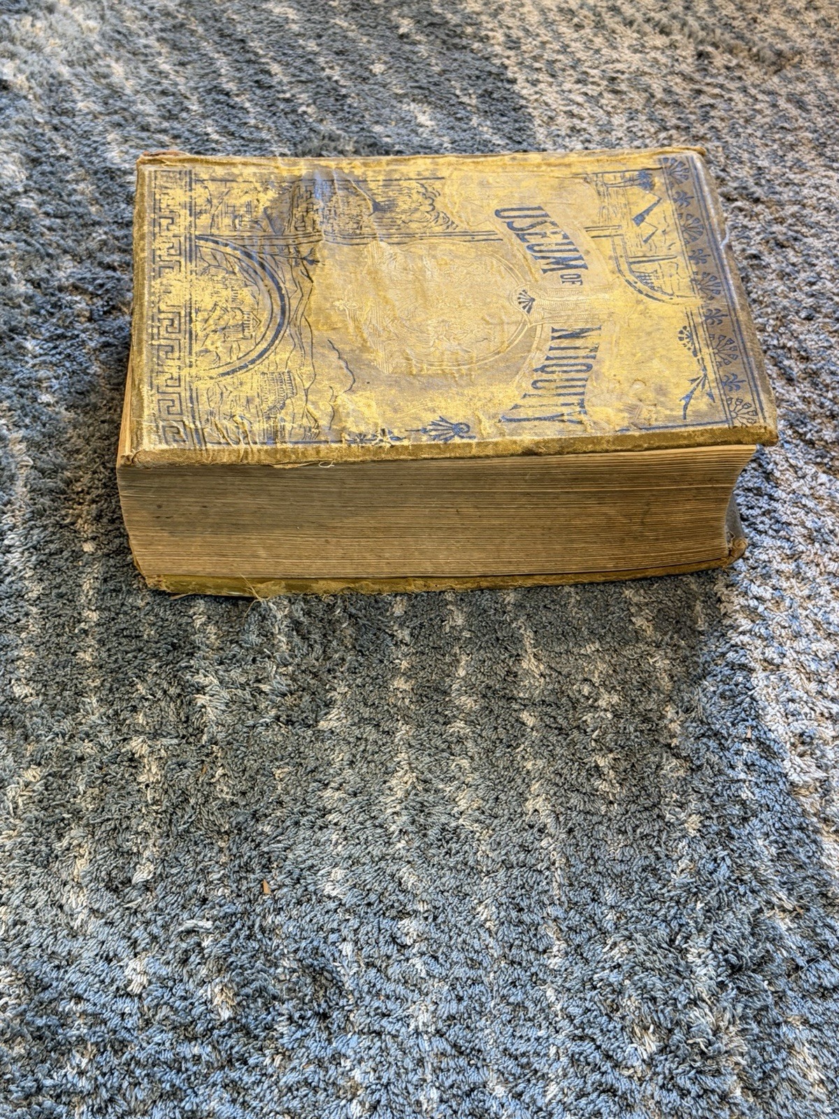 MUSEUM OF ANTIQUITY Vintage Hardcover Book Illustrated 1880 Ancient Life