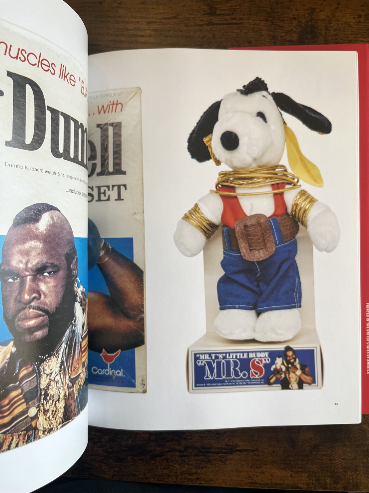 I Pity the Dolls – Largest Mr. T Memorabilia Collection Artbook Rivera, Le, Essl