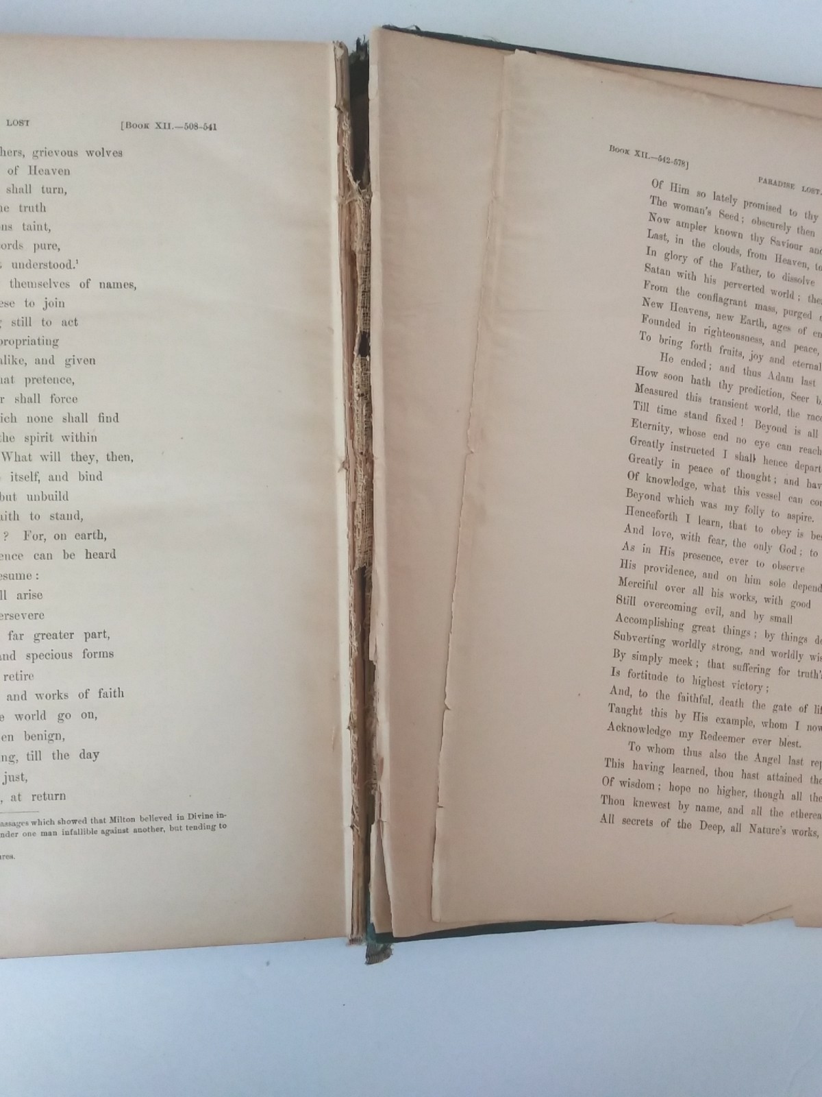 Antique John Milton’s Paradise Lost Illustrated By Gustave Dore Dated 1885