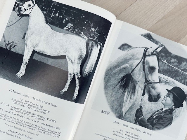 Arabian Horse Yearbook 1971 IAHA Vol XlX Arabian Horse Books / Memorabilia