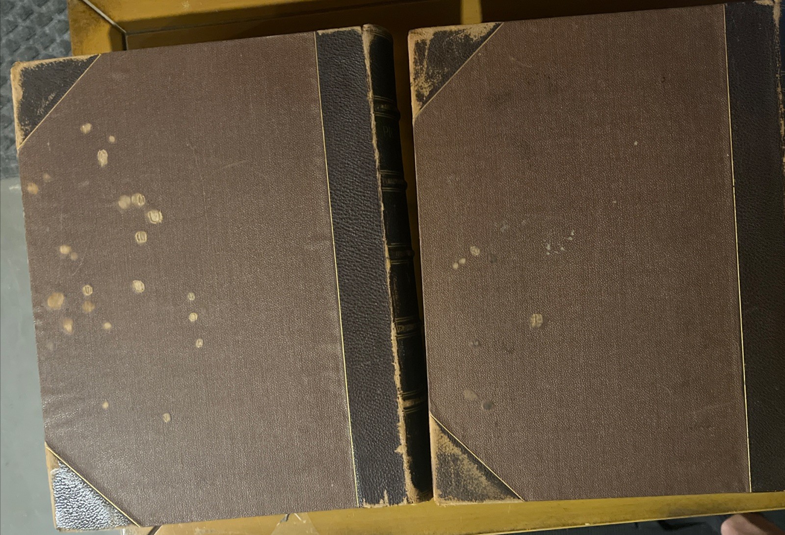 1872 Picturesque America 2 Volume Set