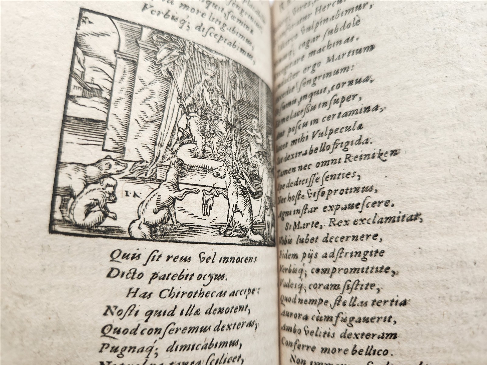 1595 REYNARD the FOX in LATIN illustrated by Jost Amman & Virgil Solis ANTIQUE