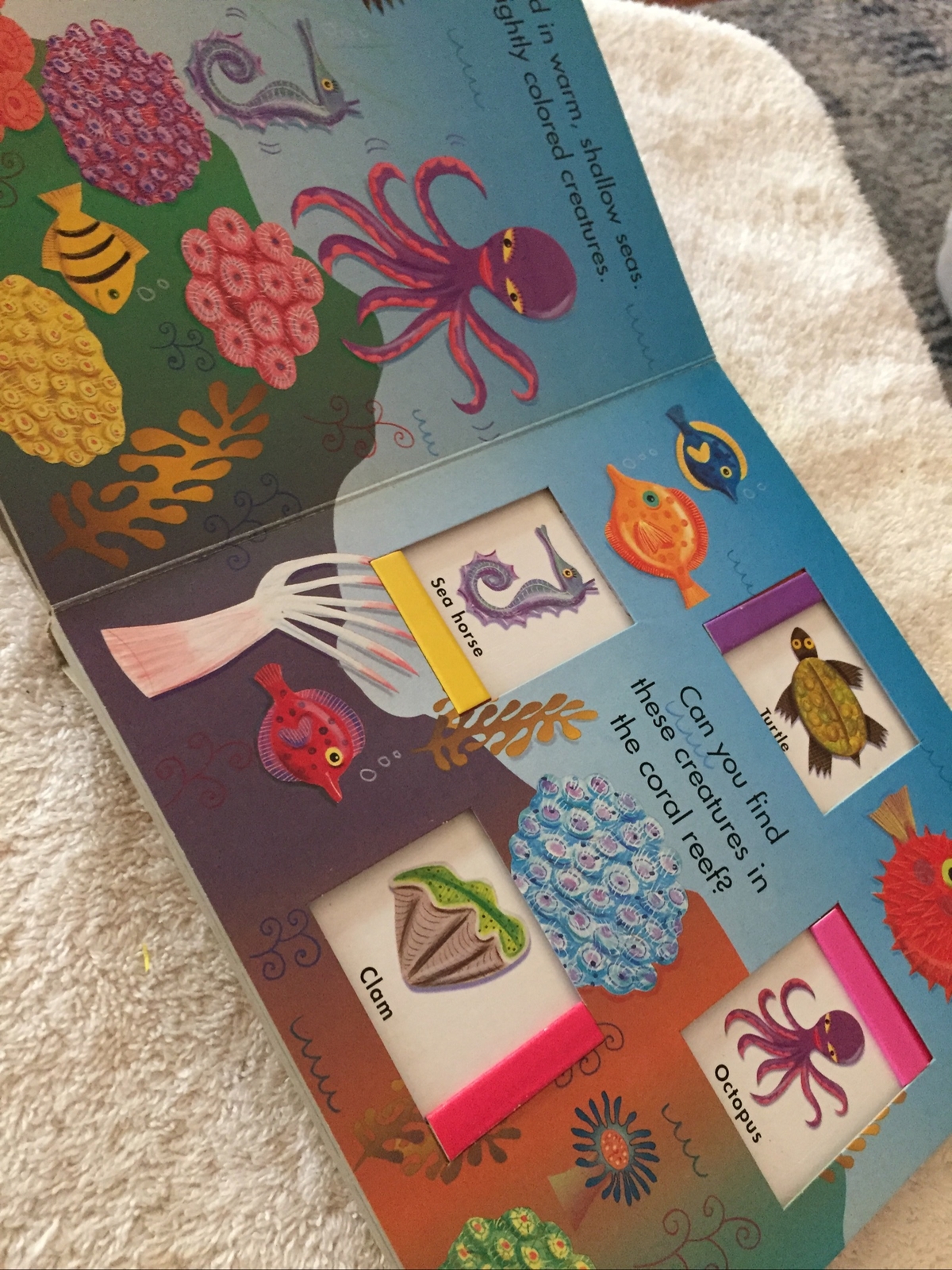 Rare Vintage Board Book In the Sea (Seek and Slide Series)