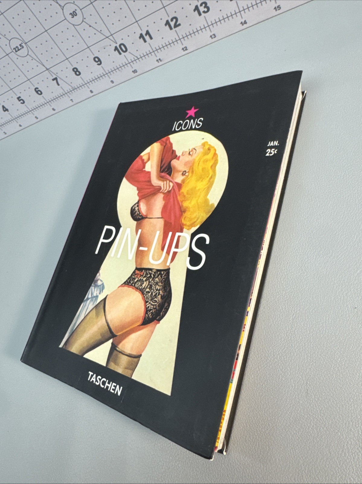 pin-ups TASCHEN ICONS ART BOOK 2002 erotic Vtg adult art betty page Book