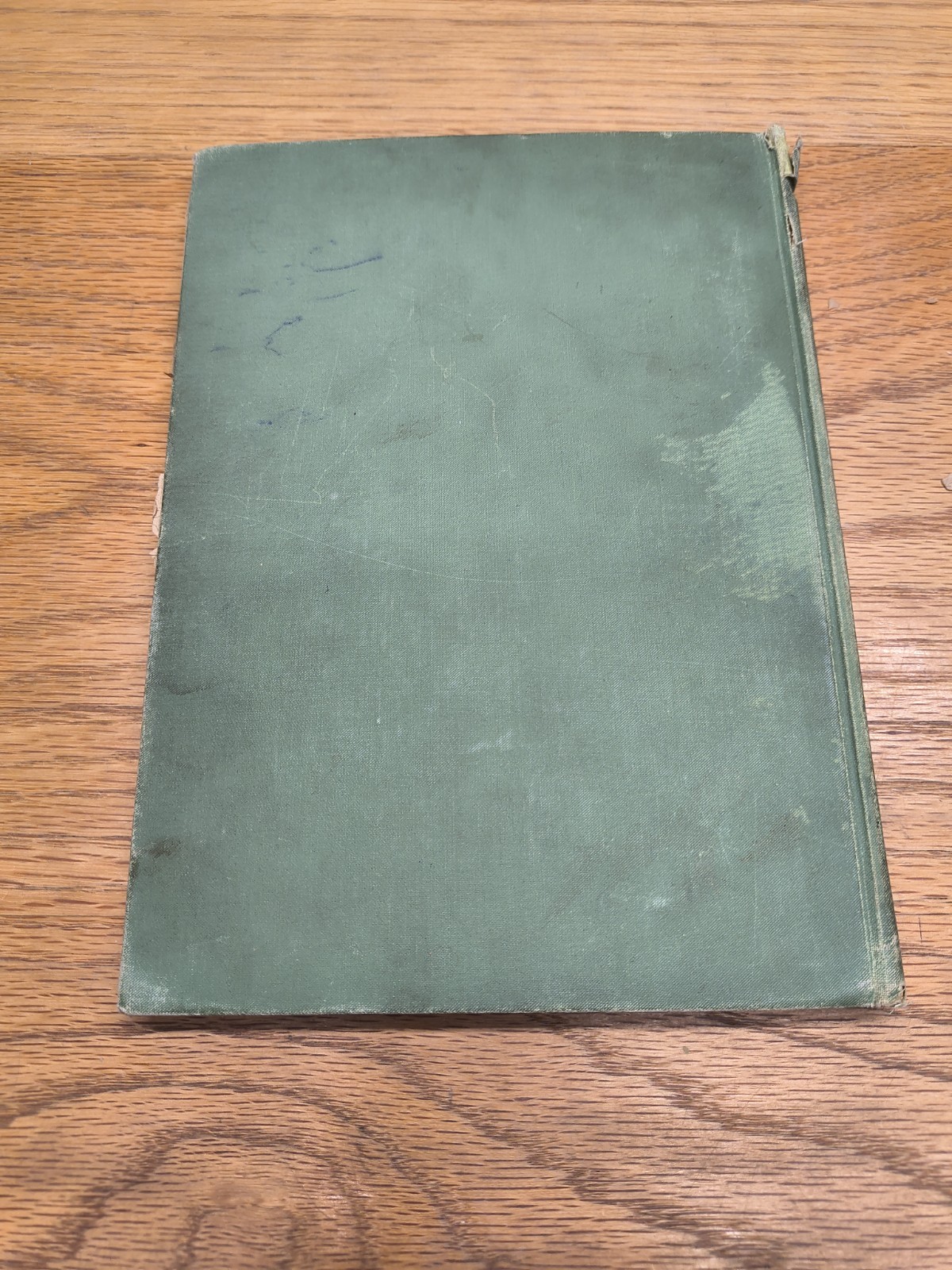 Vintage Religious Book Christ Our Saviour E.G. White 1897 Review Herald