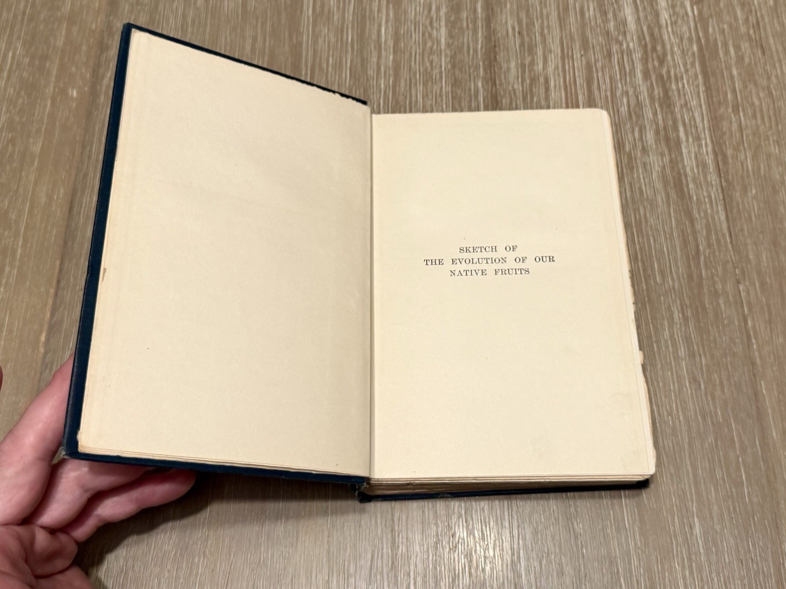 SKETCH OF THE EVOLUTION OF OUR NATIVE FRUITS by L.H. Bailey 1898 HC
