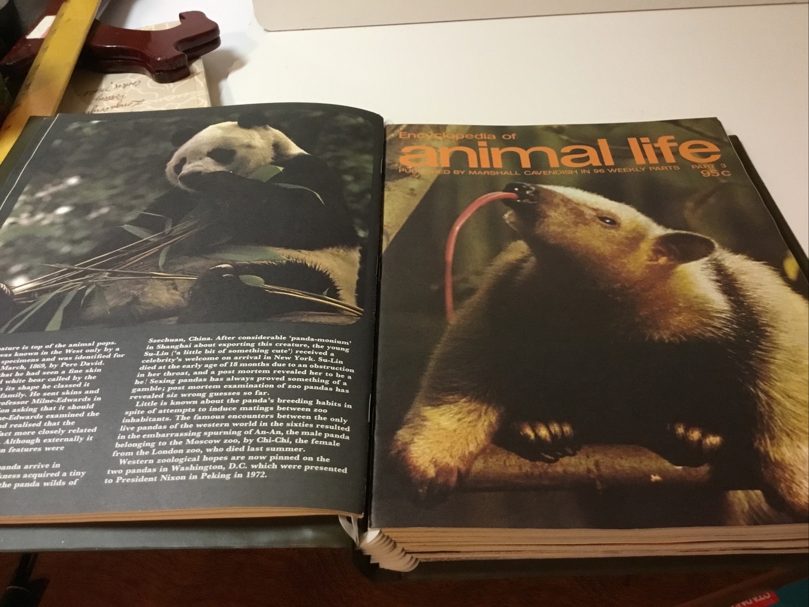 Encyclopedia of Animal Life Magazines by M. Cavendish in Binder 1 – 13 ~ 1973