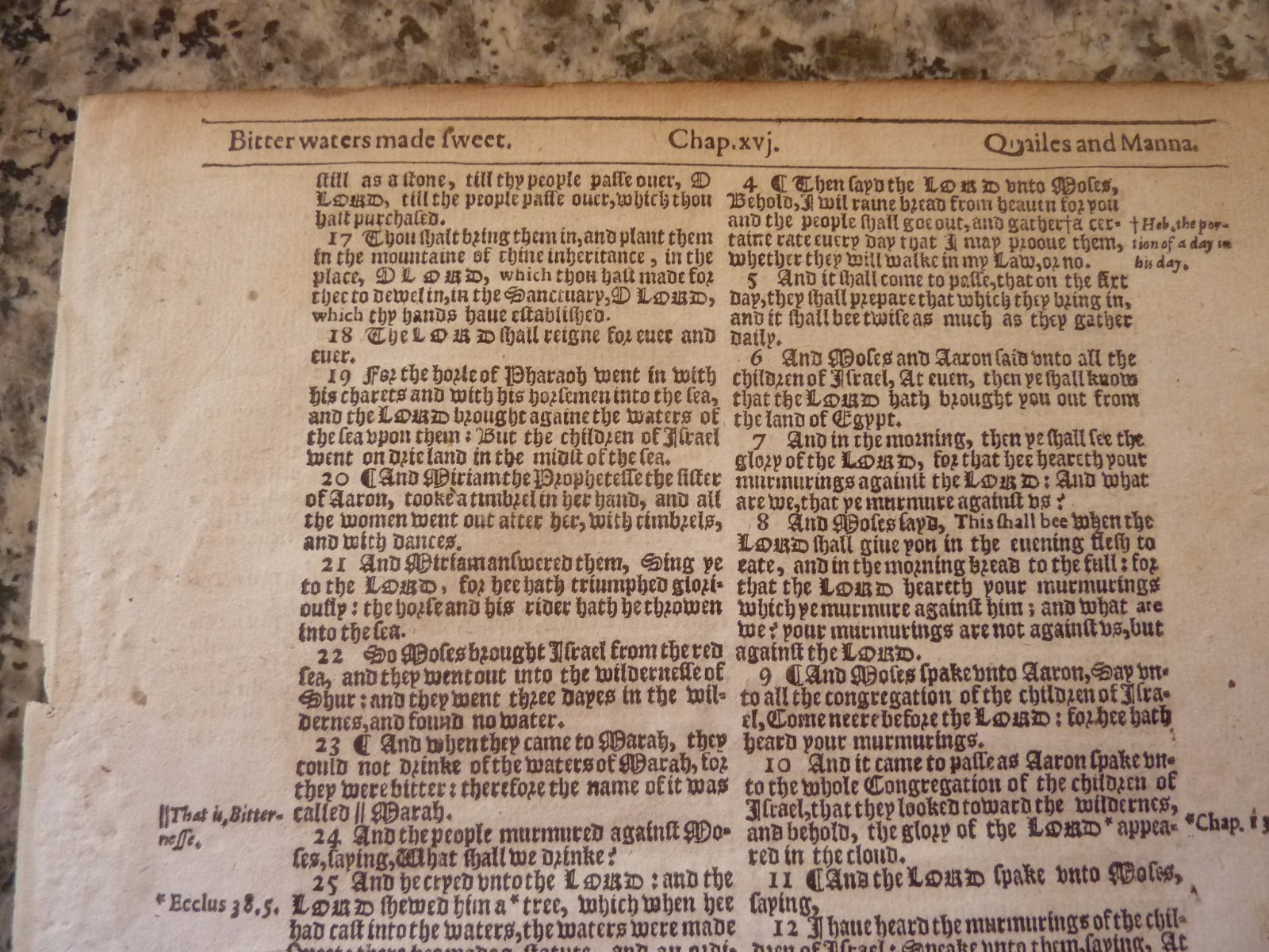 (Leaf) This is an original leaf from The King James Bible1613 (404 yrs) 17-127