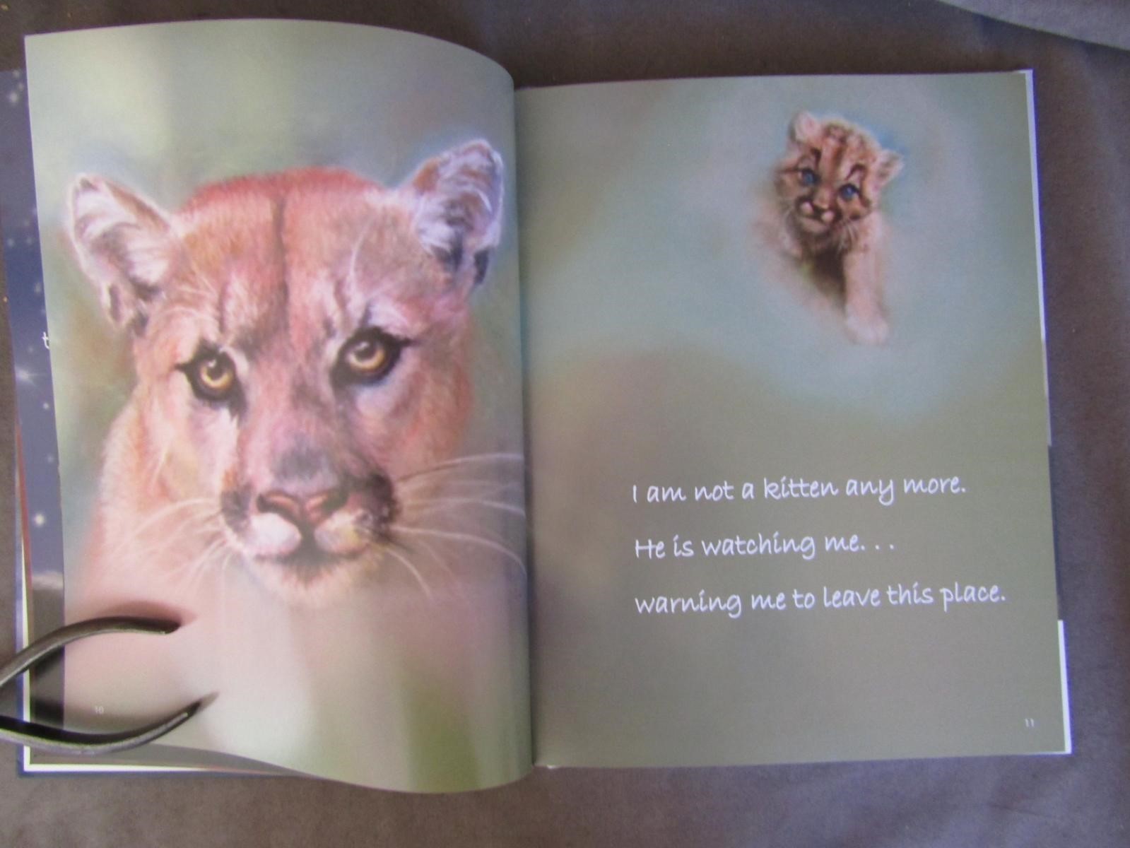 2018 1st Signed – P22 The Journey – Mountain Lion Santa Monica Mountains ch511